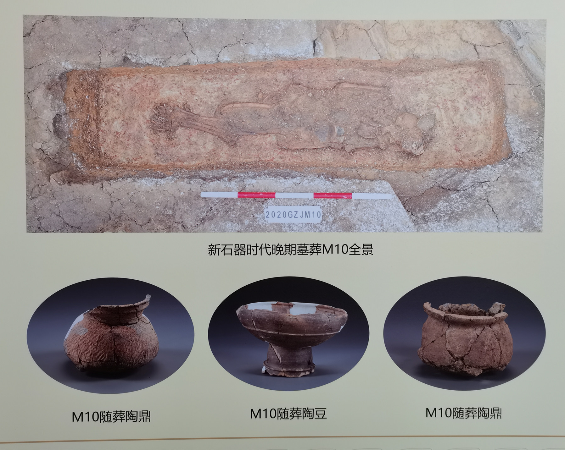 新石器时代晚期墓葬M10全景及随葬品.jpg