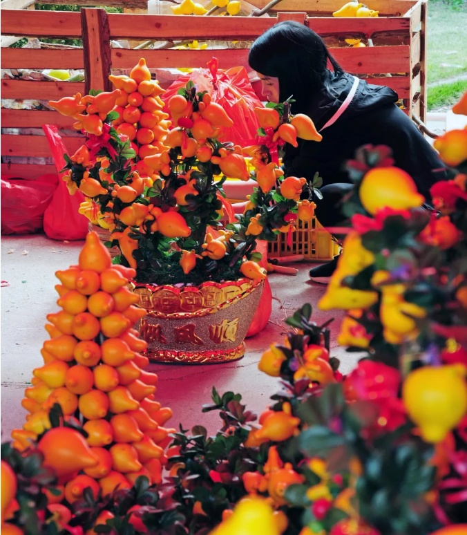 逛花街,买年花(摄影:姚日文)