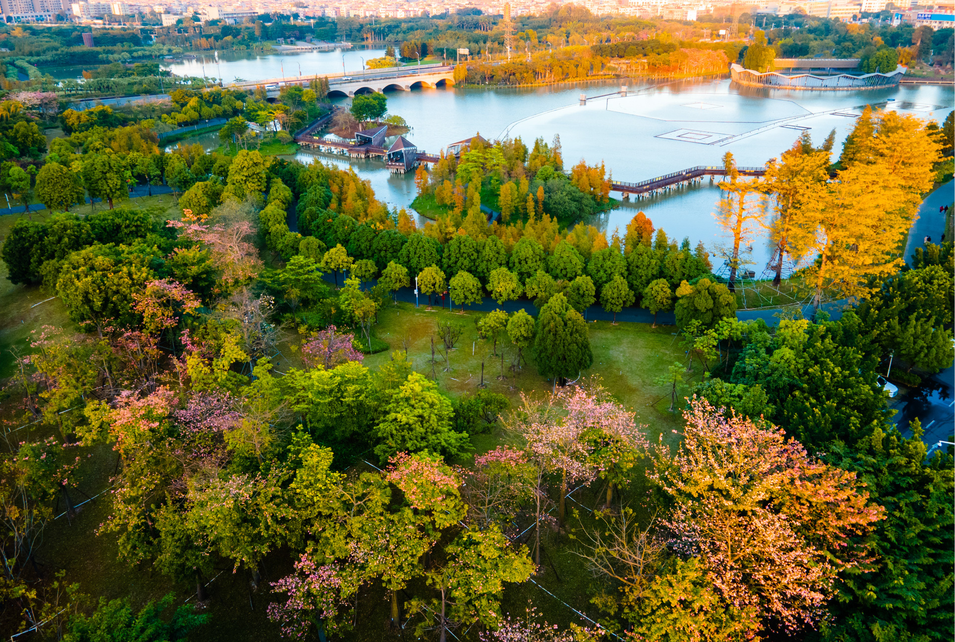 中山古镇灯都生态湿地公园:一湖诗画 满园美景