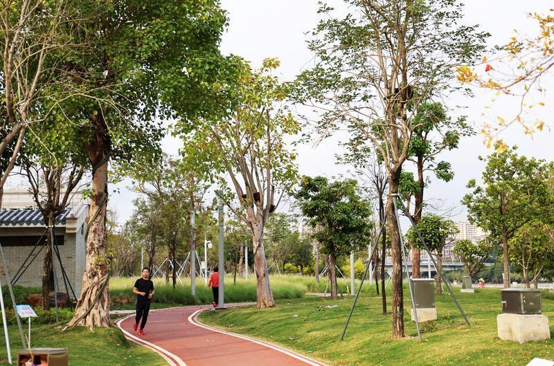 市民在倚江路公园慢跑道上锻炼。（摄影：文波）