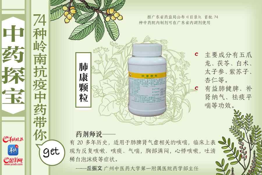 肺康颗粒 横.jpg