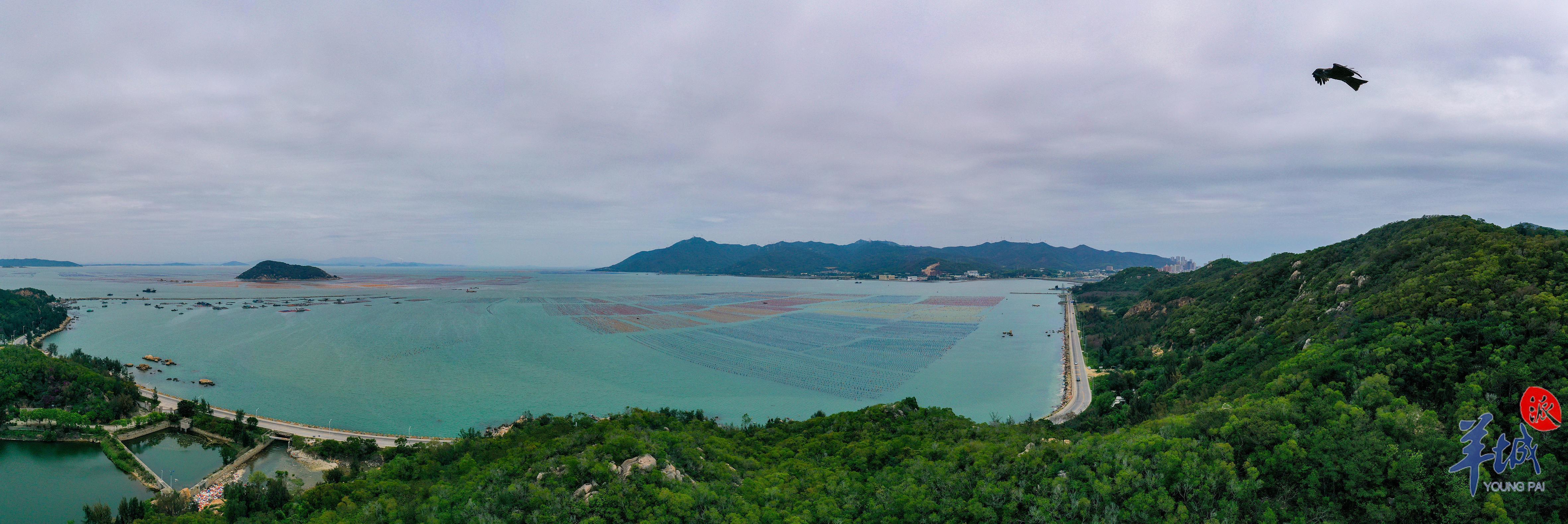 Video+Photos｜Savoring the ocean's melody in Nan'ao, Shantou: a tale of sea and song