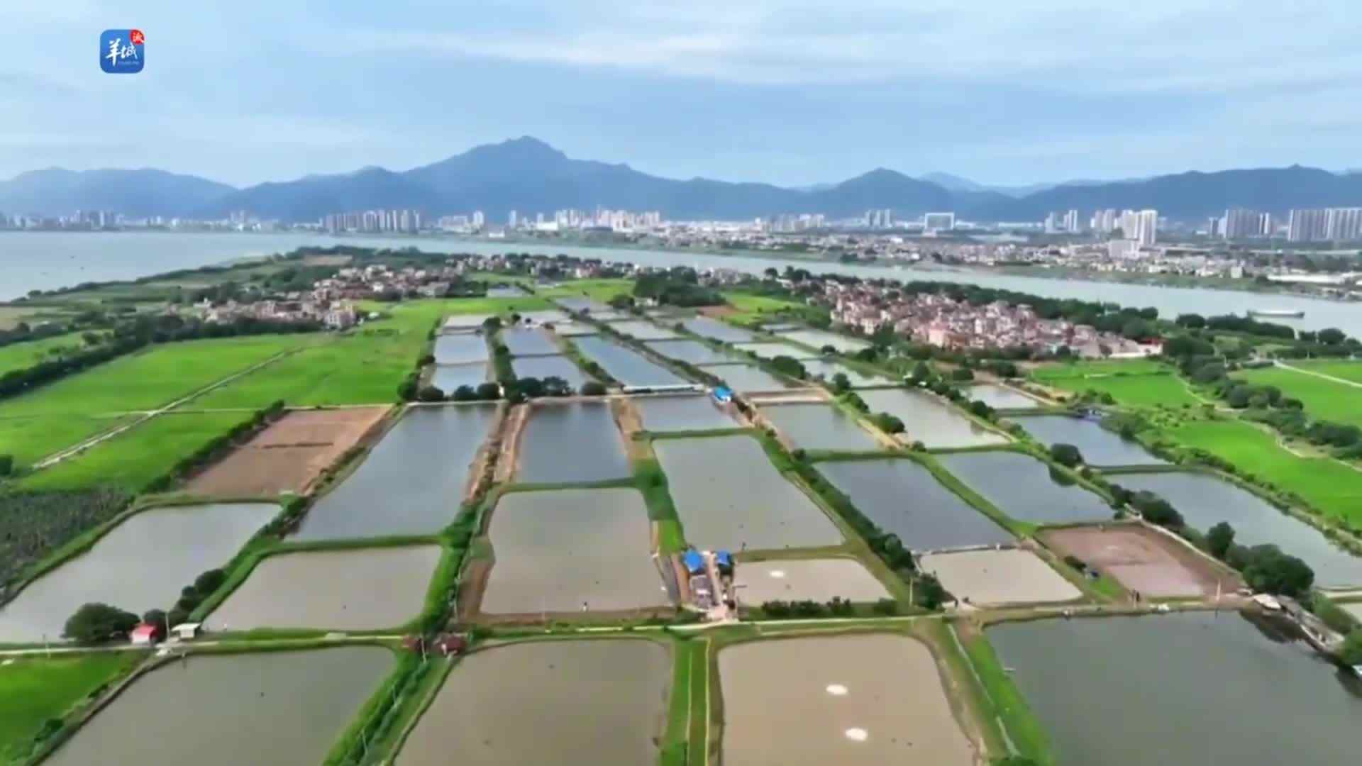 Ilha Yanzhou, Zhaoqing: A 