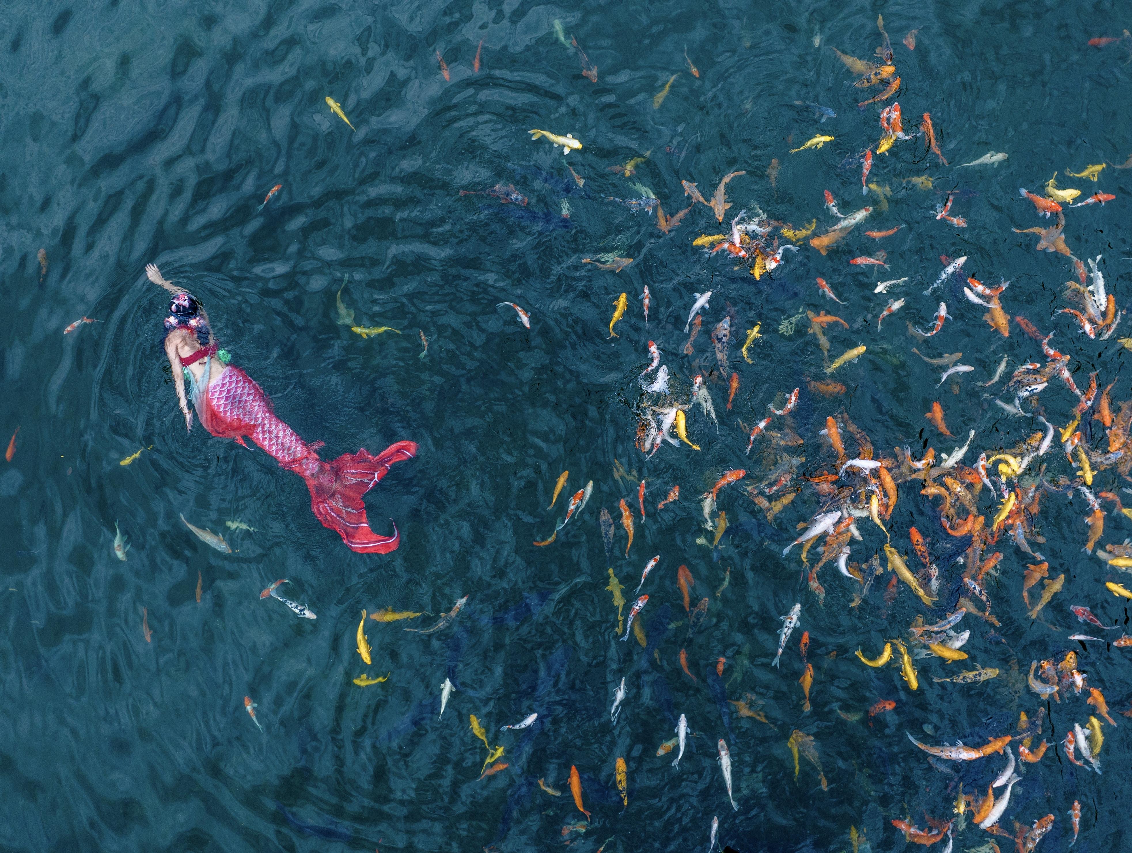 （新媒体 民生）锦鲤仙子花样浮泳，中秋节(17062346)-20240909122956.jpg