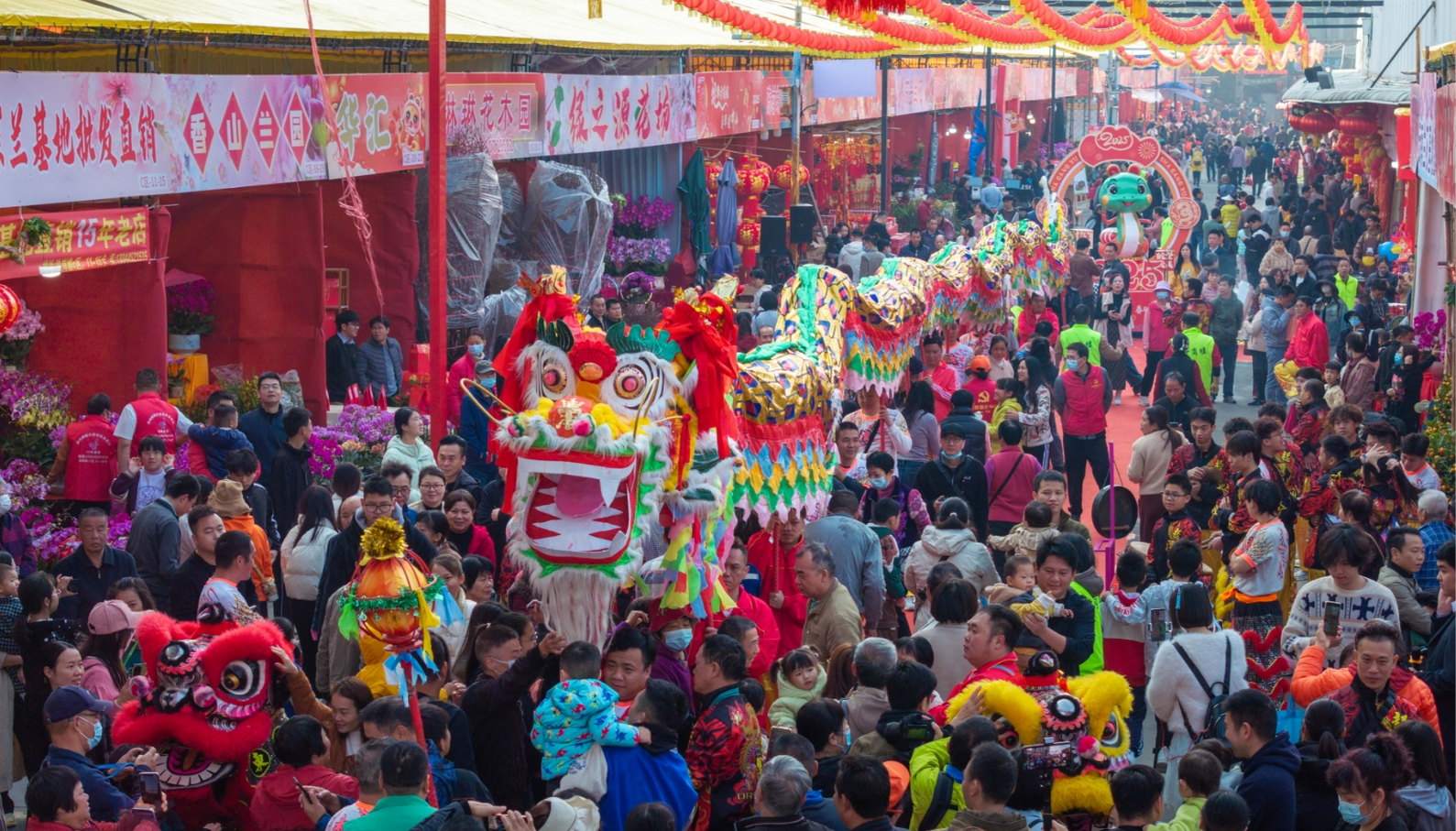 The Spring Festival atmosphere is strong! Zhongshan's Shagangxu Spring Festival Flower Market opens in full swing