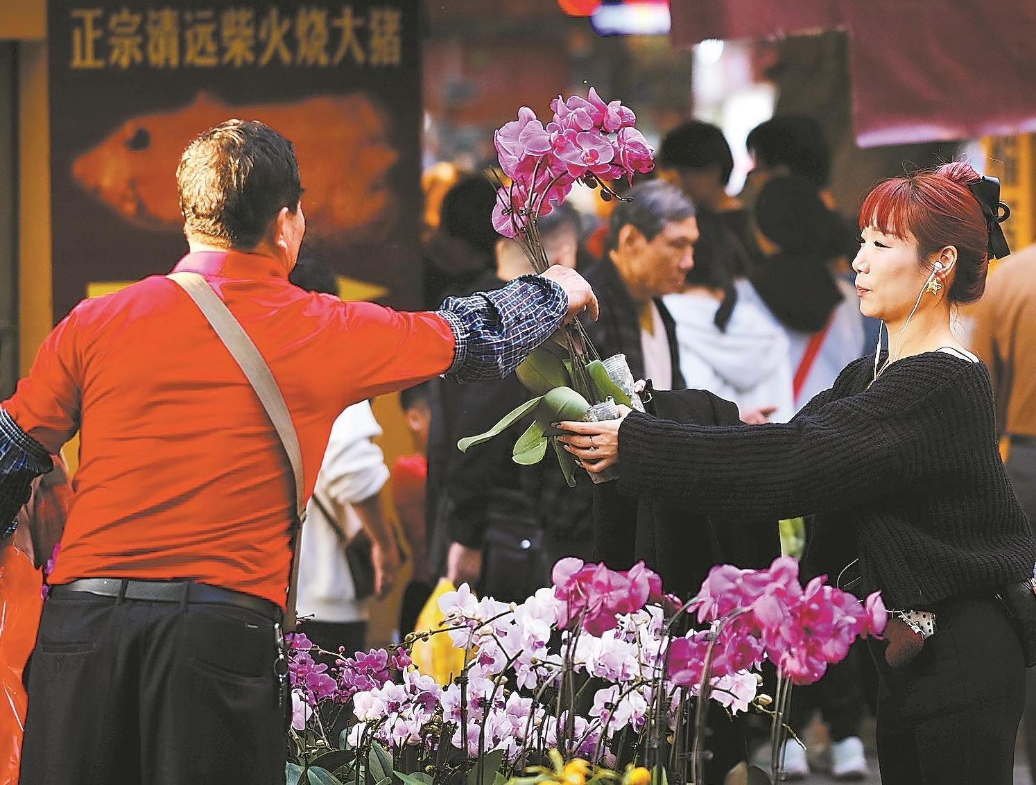 请到广东过大年|年花畅销 花卉市场日售二三十万扎