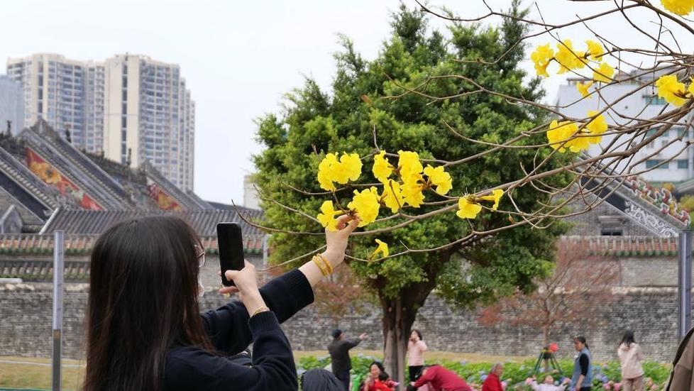 The Chen Clan Ancestral Hall’s East Square, which had been sealed off for about 10 years, revealed its new appearance