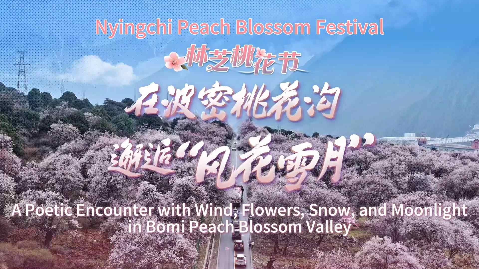 Peach Blossom Gully di Bomi dan pertemuan “angin, bunga, salju, dan bulan”