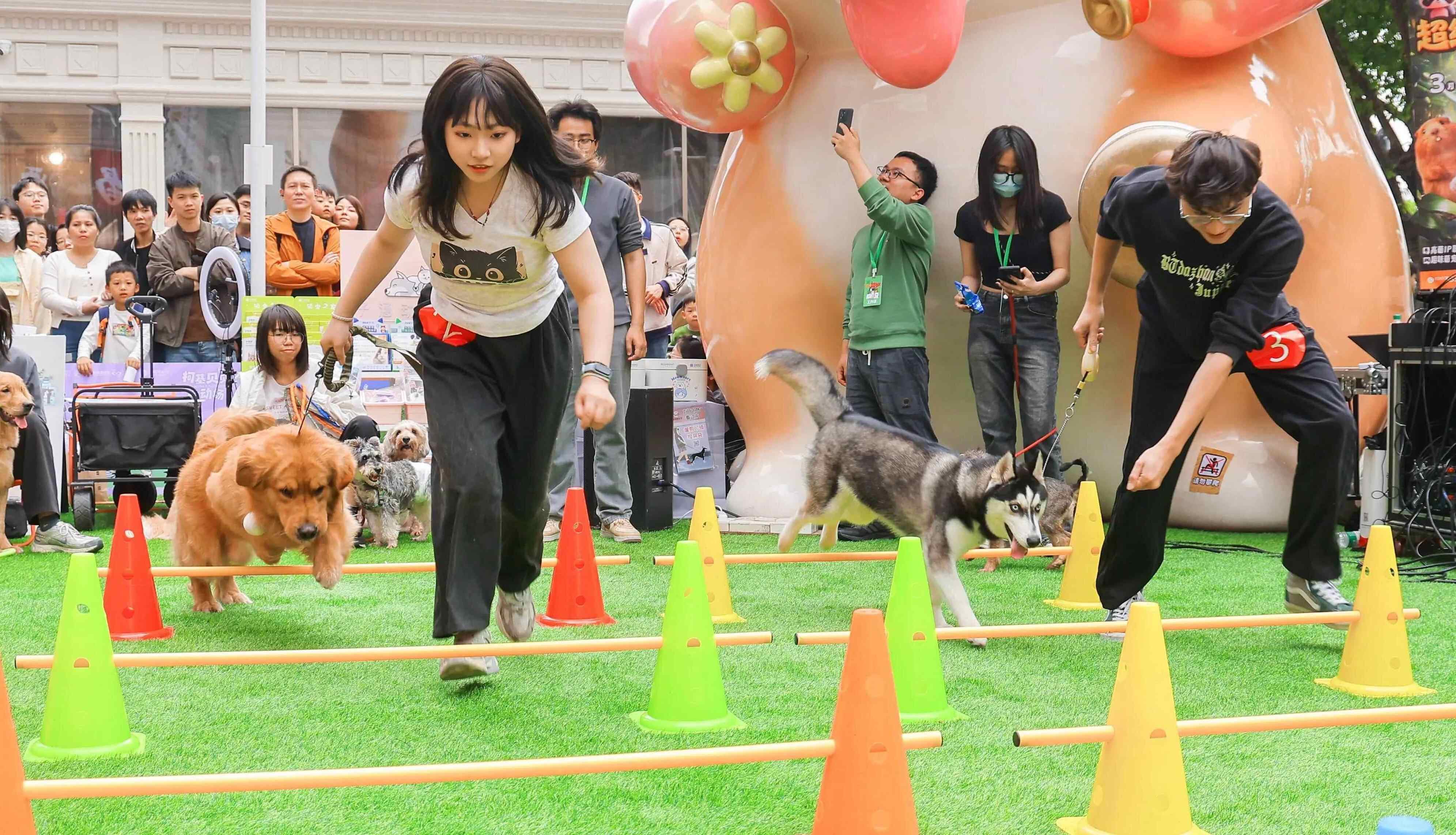 Tão giro! Milhares de animais de estimação fofos fizeram uma festa na floresta urbana de Guangzhou