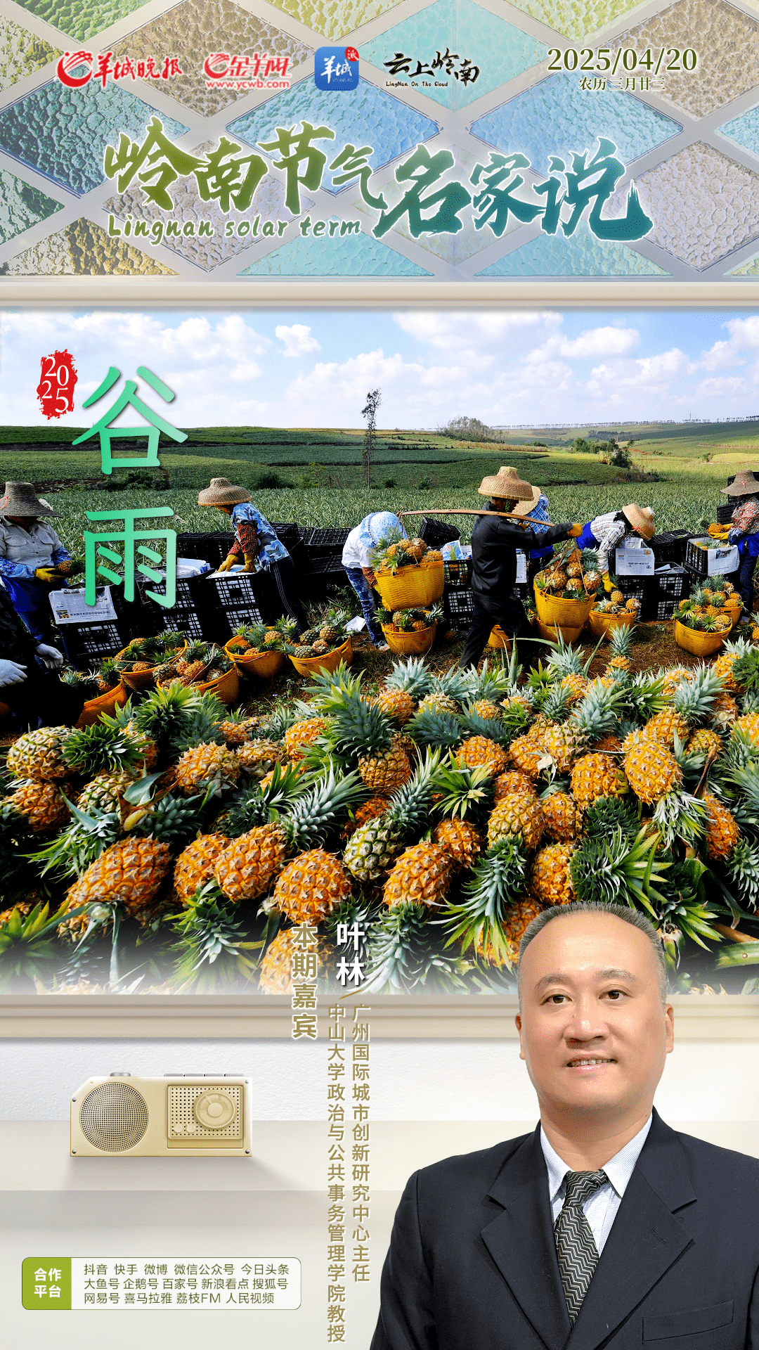 谷雨节气品徐闻菠萝 叶林邀您共尝岭南的春甜夏韵