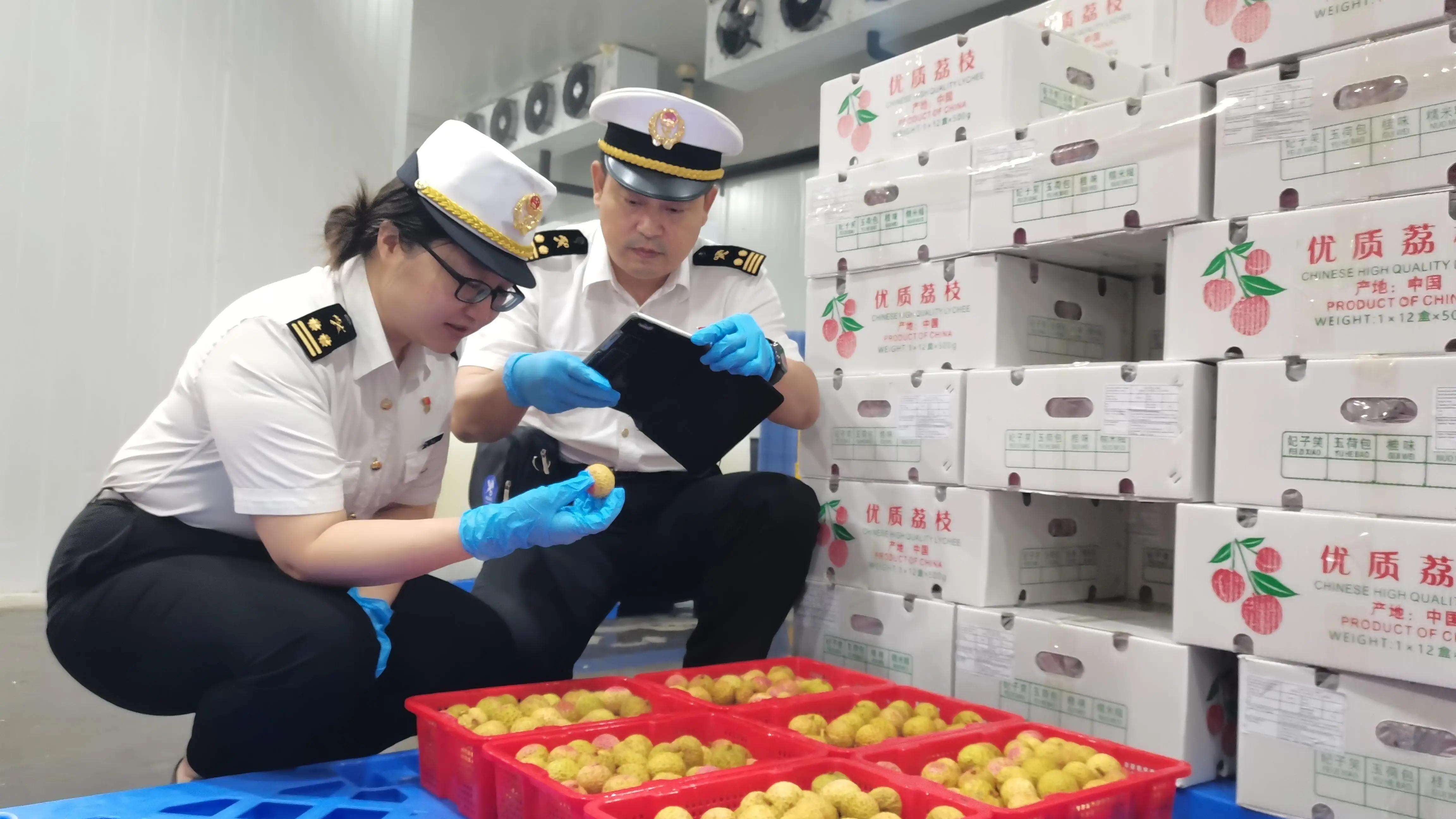 Lychee exports via Guangzhou Customs surge 17.6% YOY in H1