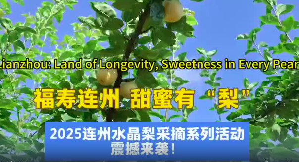 Musim Panen Pir Lianzhou! Musim panen pir kristal Lianzhou yang dinanti-nantikan setiap tahunnya telah tiba!