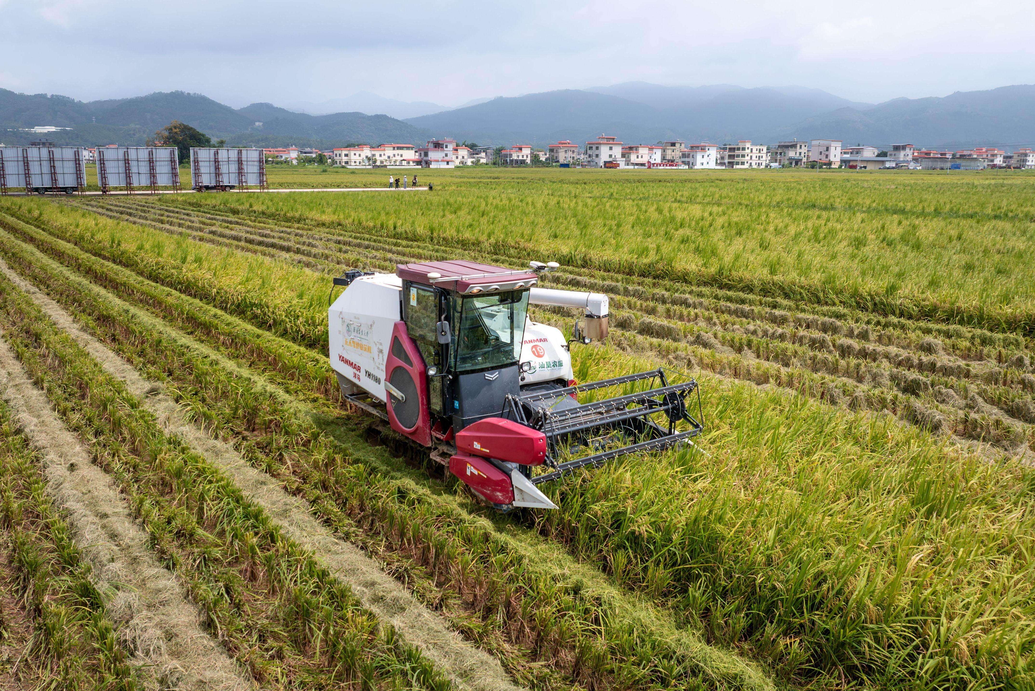 Guangdong's largest unmanned smart farm achieves rice yields above national average