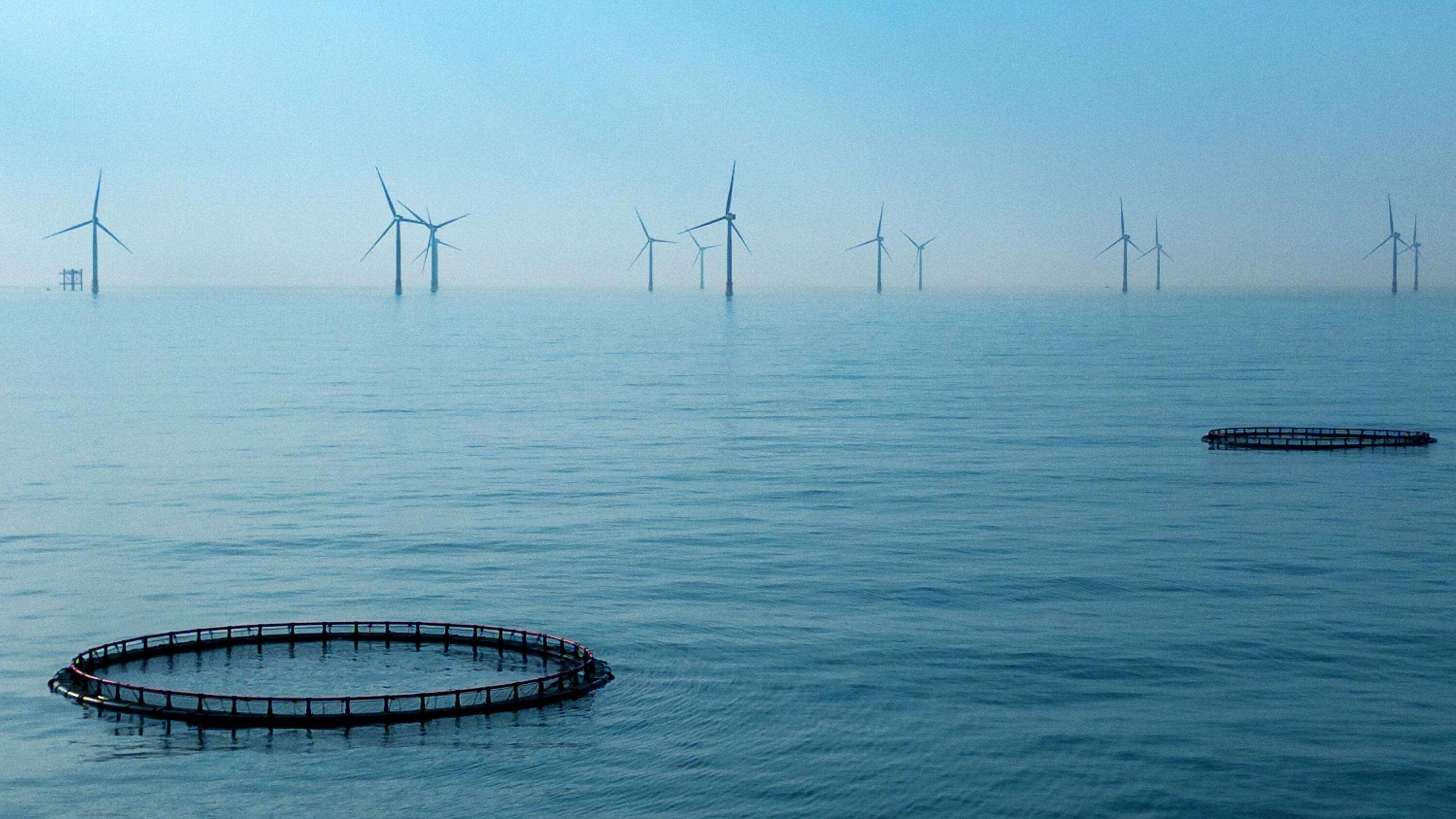  China's marine economy hits 5.1 trillion yuan in H1, up 5.8% YOY