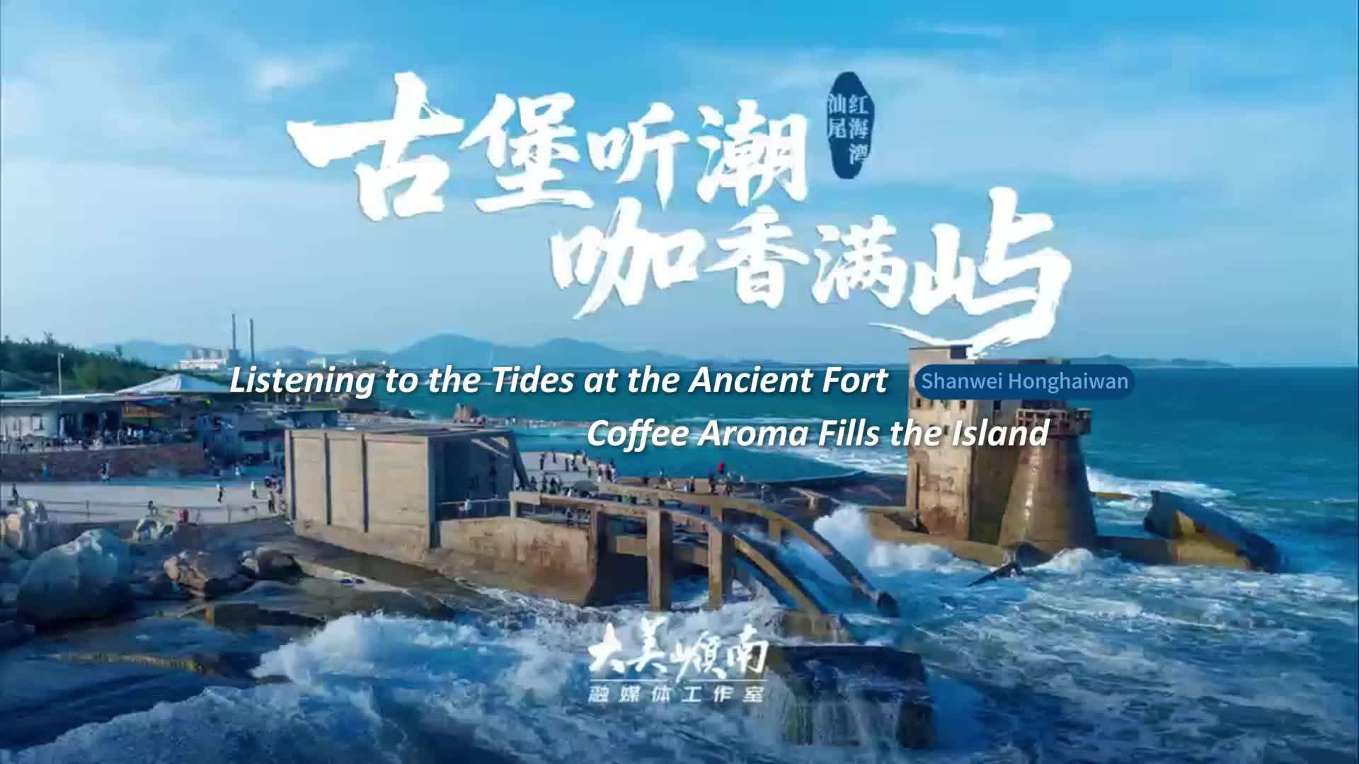  Shanwei Honghaiwan: Listening to the Tides at the Ancient Fort, Coffee Aroma Fills the Island