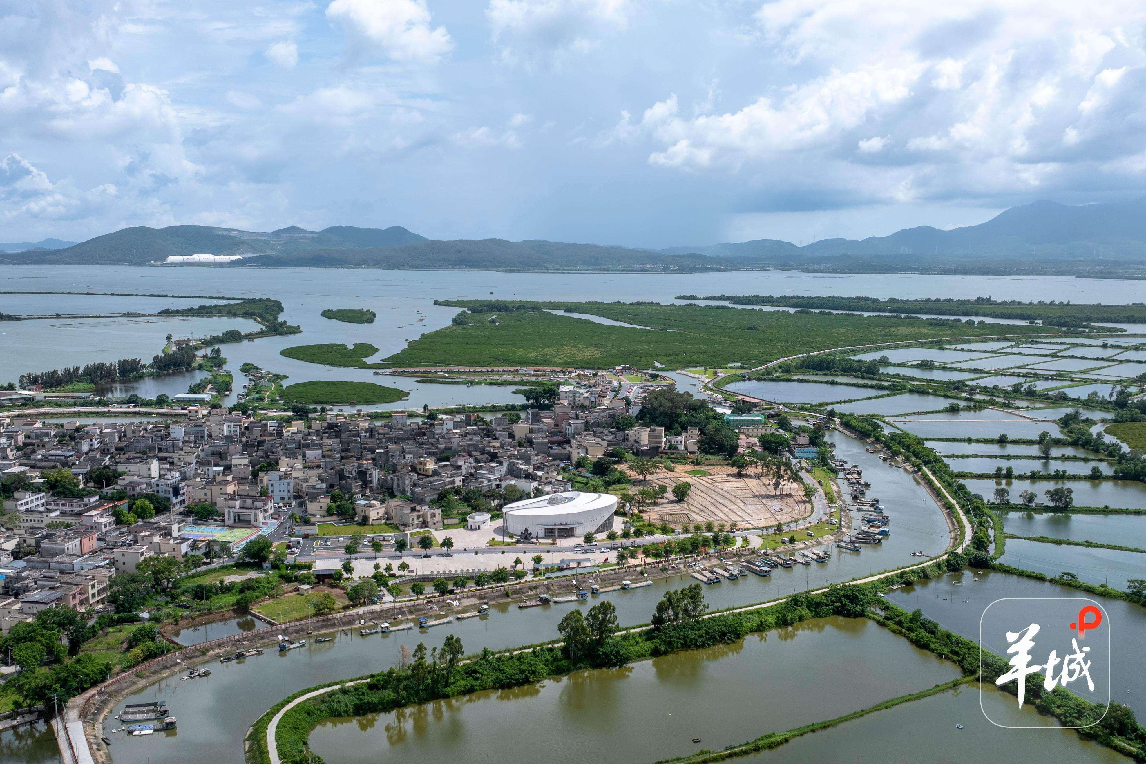  Oysters fuel a brighter future in Yangjiang's Hongguang Village