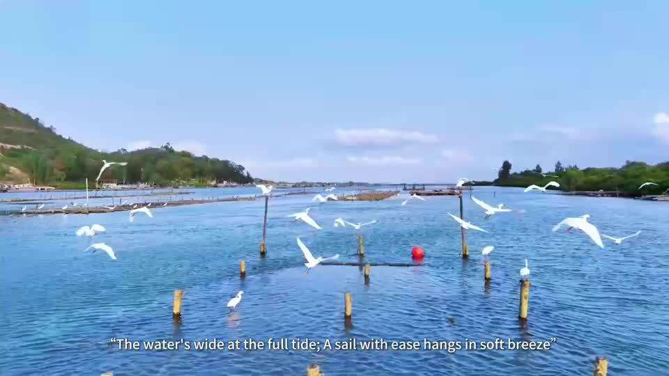  Hongguang Village, Chengcun Town, Yangjiang: “Oyster” Days, Better Days | Beauty in Harmony: “Revitalizing 100 Villages”