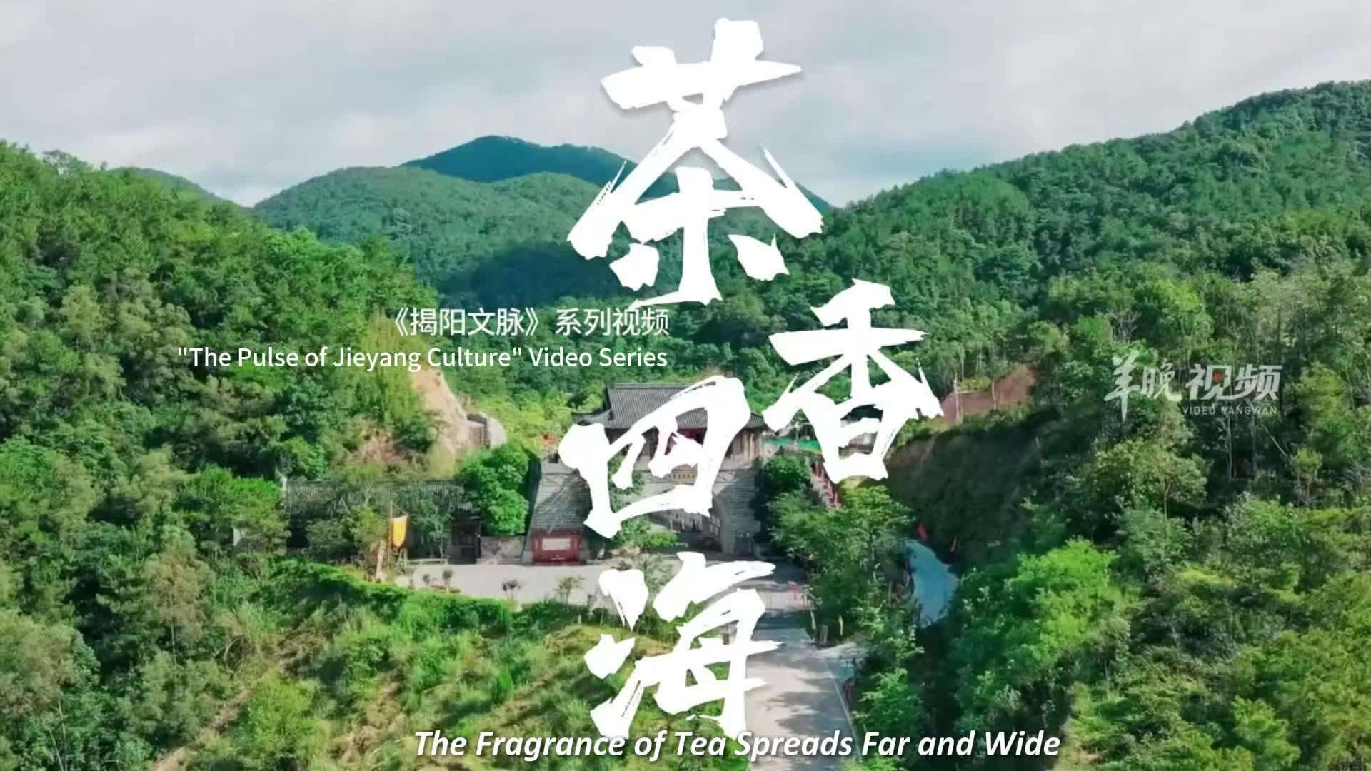  How Can a Cup of Jieyang Stir-Fried Tea Evoke Nostalgia for Millions of Chaoshan People?