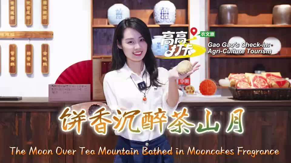  Join Us to Explore the Past and Present of Mooncakes in Dongguan's Chashan Town