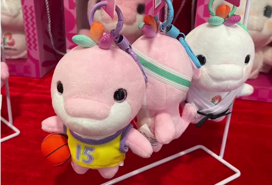  Dongguan rolls outover 200 peripheral products for 15th NG