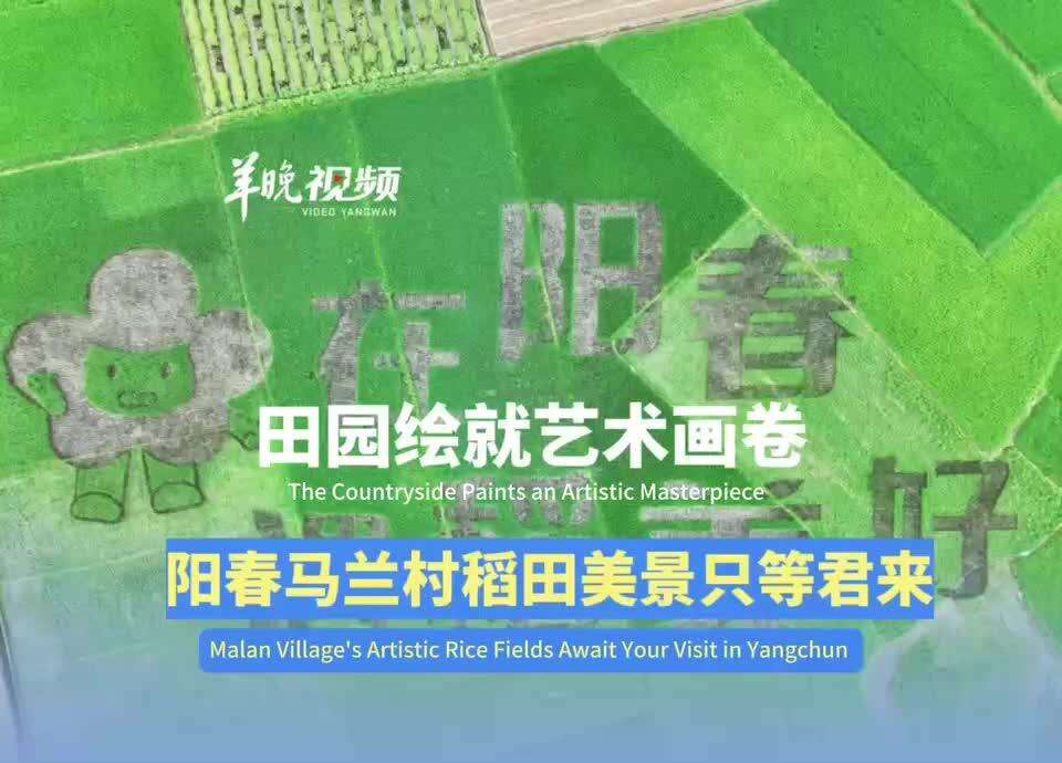  Countryside Paints an Artistic Masterpiece: Malan Village's Artistic Rice Fields Await Your Visit in Yangchun