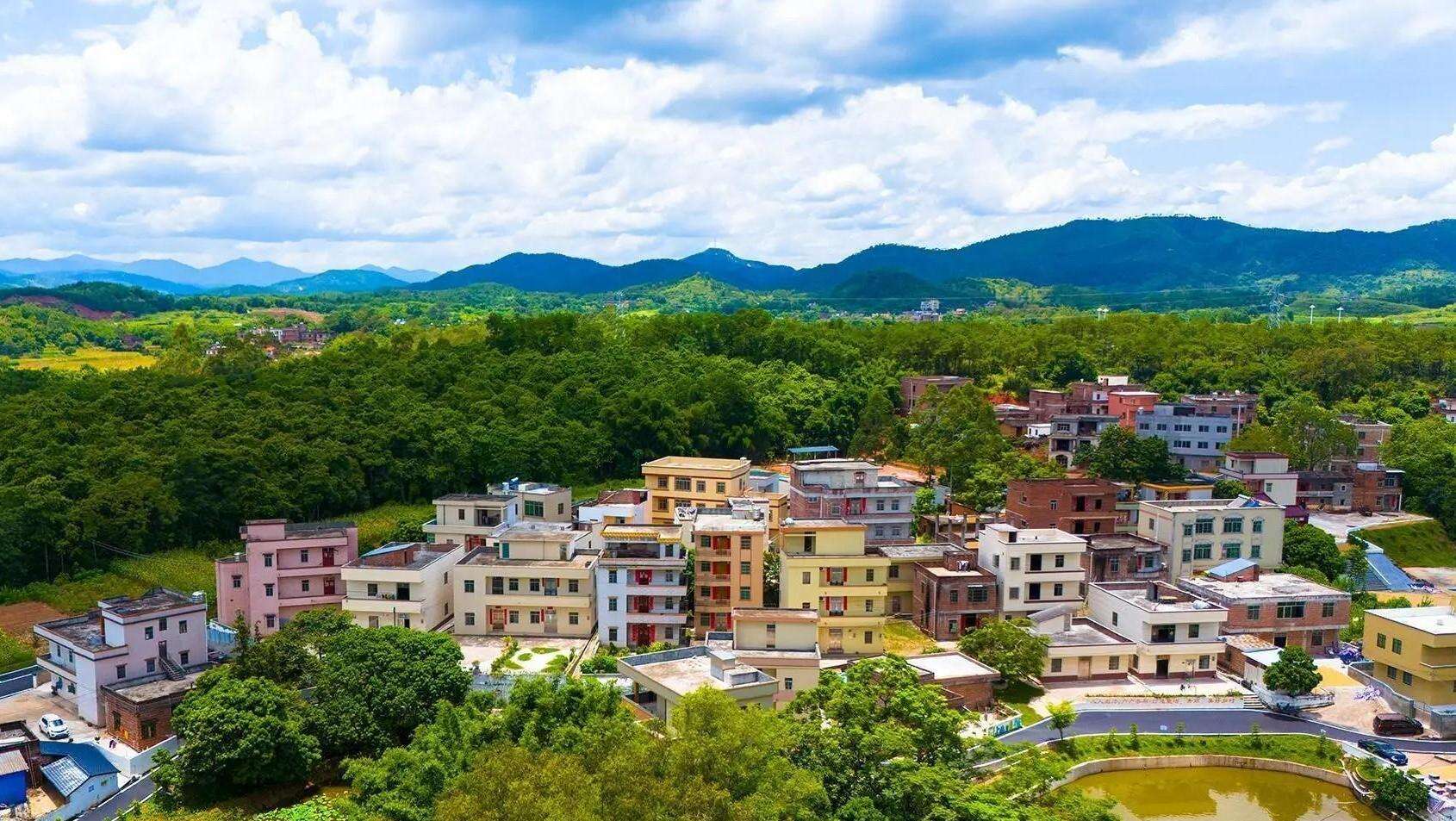 Wangtian Village, Luoding, Yunfu: Mornings and Dusks Beneath the Longan Trees