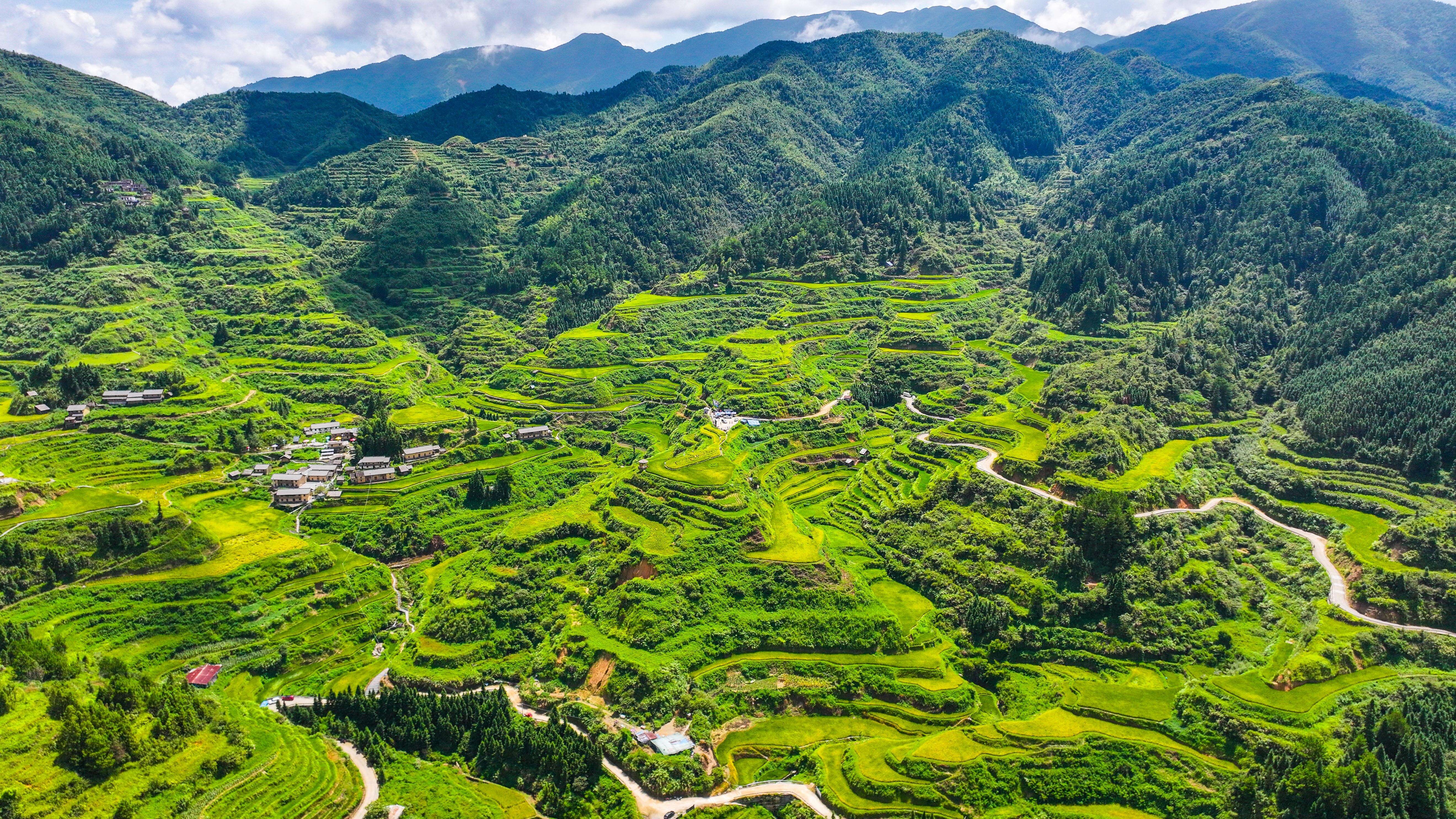  大美岭南 | 清远连南大坪镇：稻此一游  鱼味深长