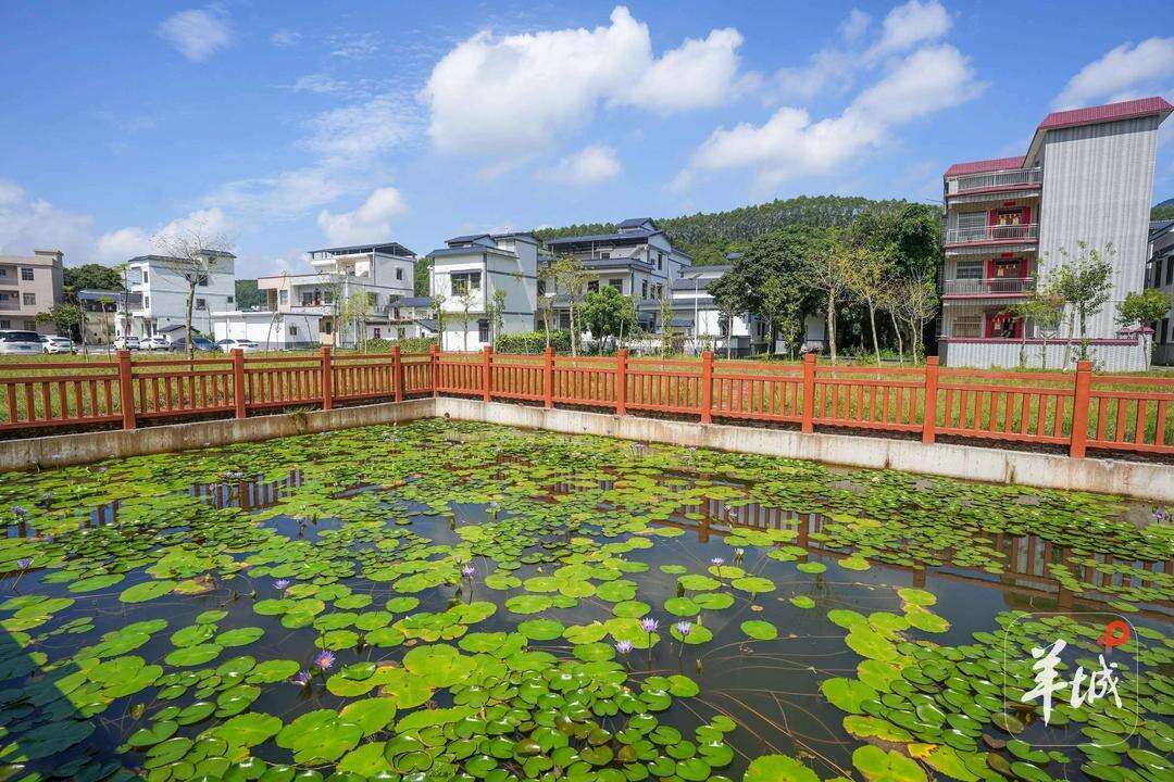  Desa Xiangshui, Kabupaten Deqing, Kota Zhaoqing: Keindahan Tersembunyi dalam Lukisan Dinding | Transformasi Megah Lingnan: Seabad Peremajaan Desa