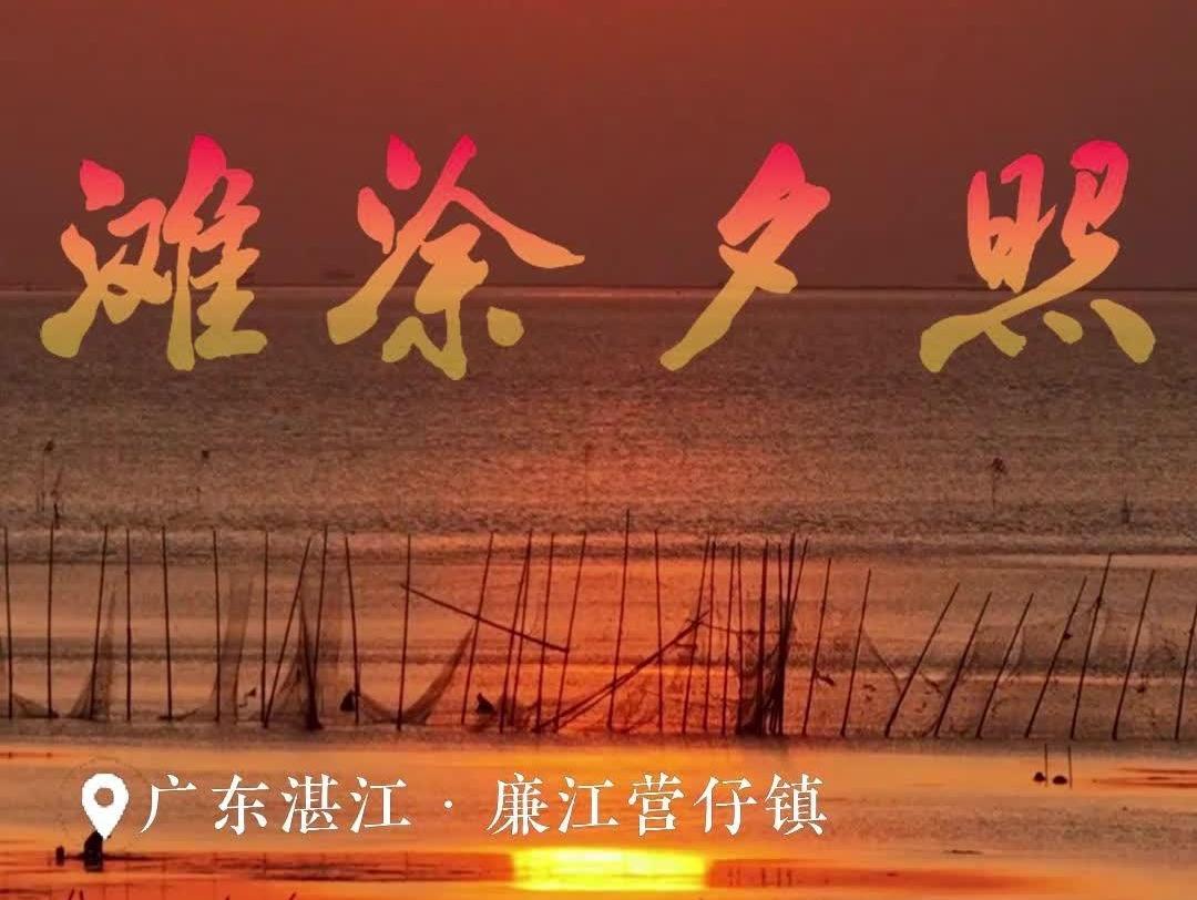  滩涂夕照，把日子的褶皱抚平 | 岭南行记