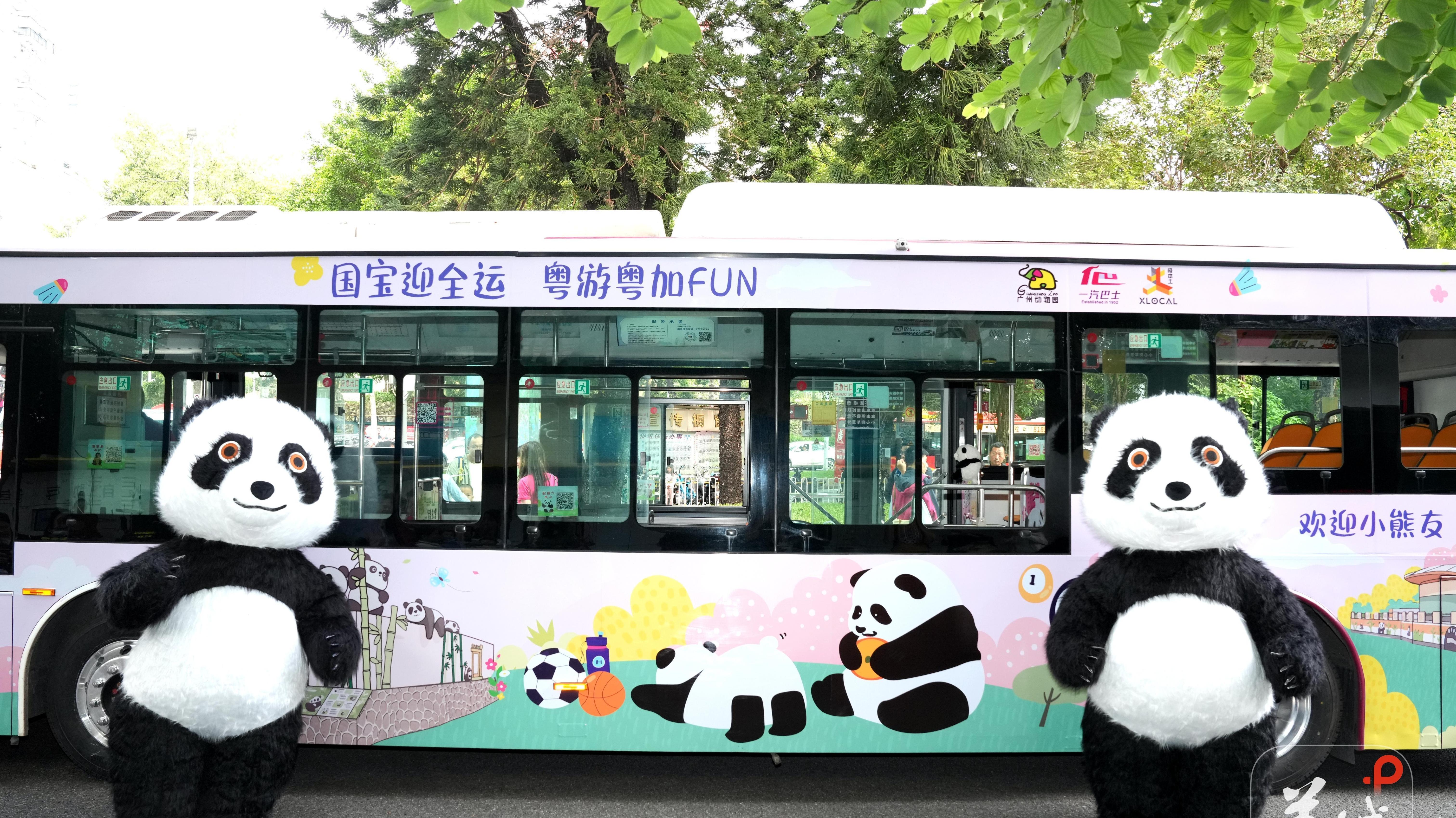  Adorable Panda Bus hits road in Guangzhou