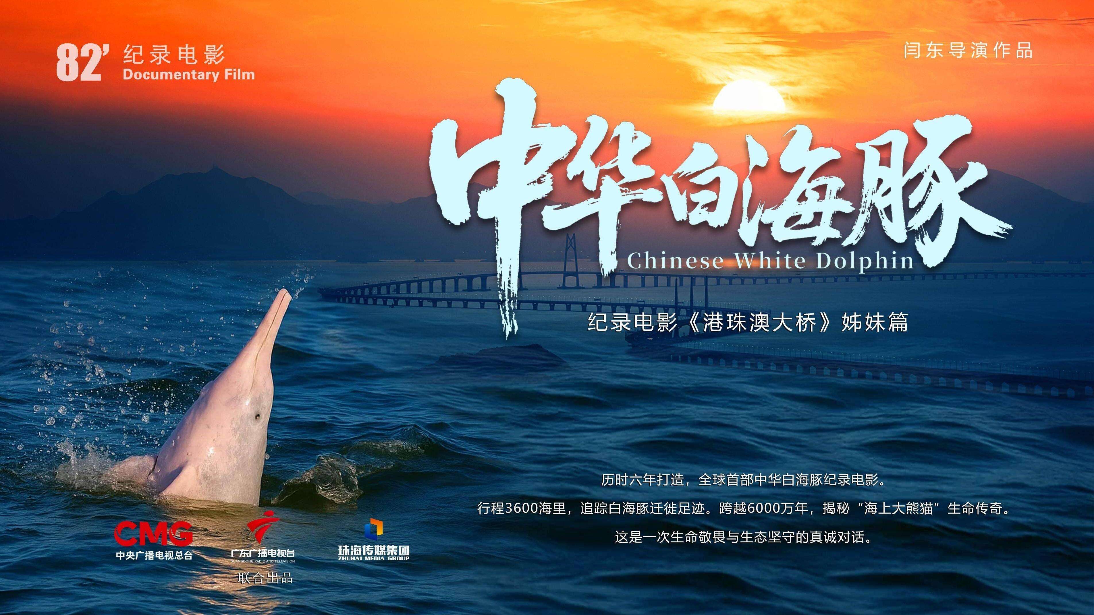 Documentary film 'Chinese White Dolphin' premieres in Zhuhai