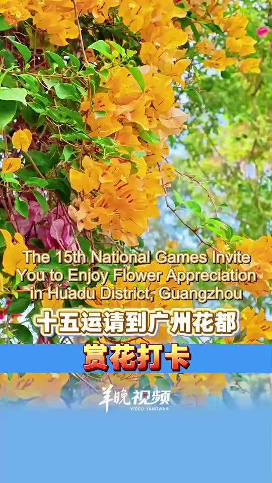  A Grand Bougainvillea Appreciation Event Kicked off in Huadu District, Guangzhou, Blossoming with 