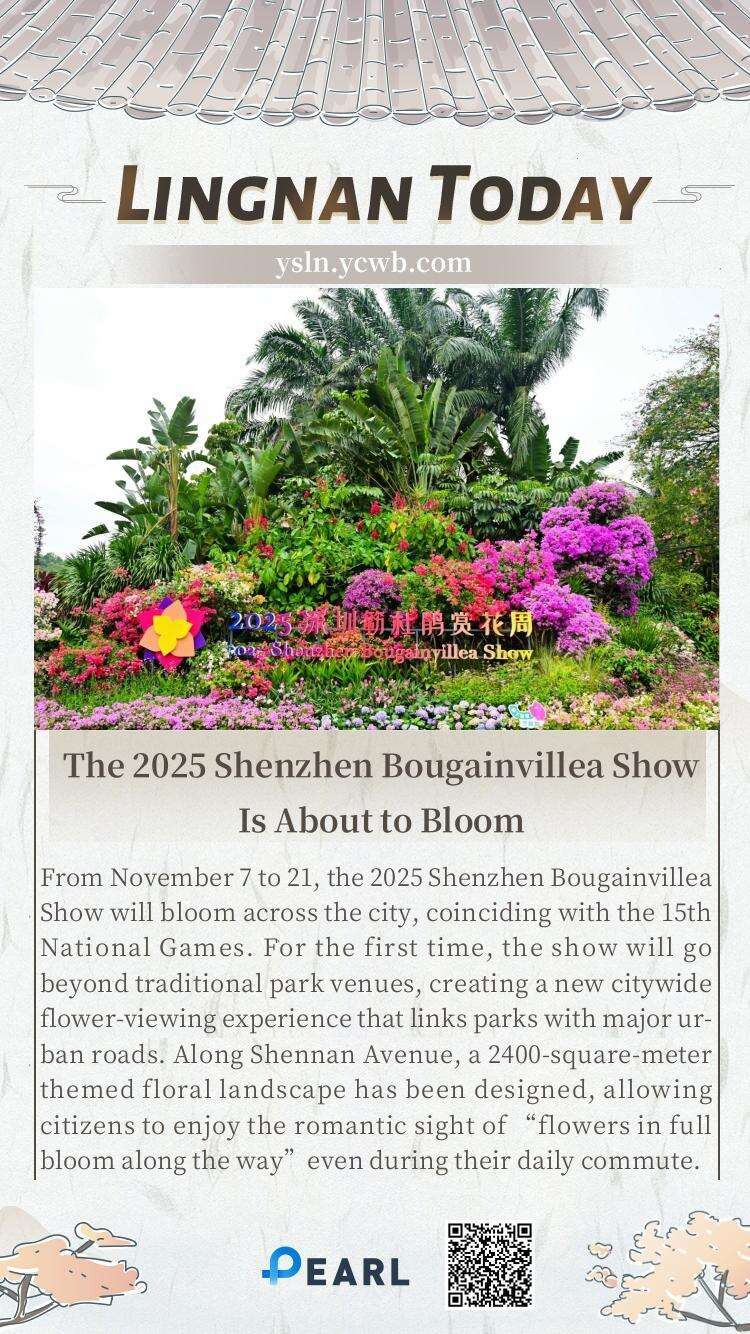  Poster｜The 2025 Shenzhen Bougainvillea Show Is About to Bloom