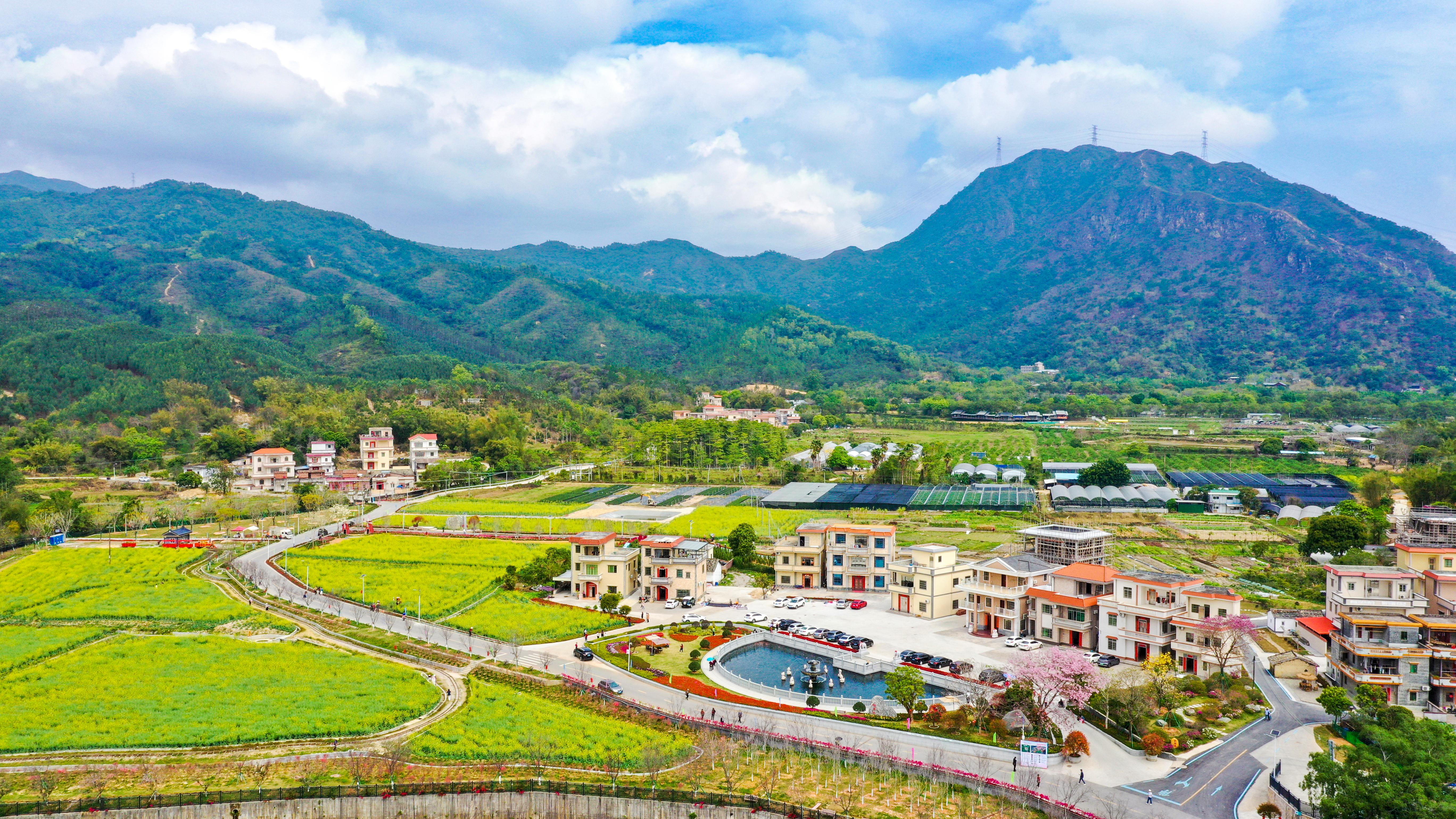  江门鹤山市城西村：水绕桃源 山歌有信 | 大美岭南·百村焕新记