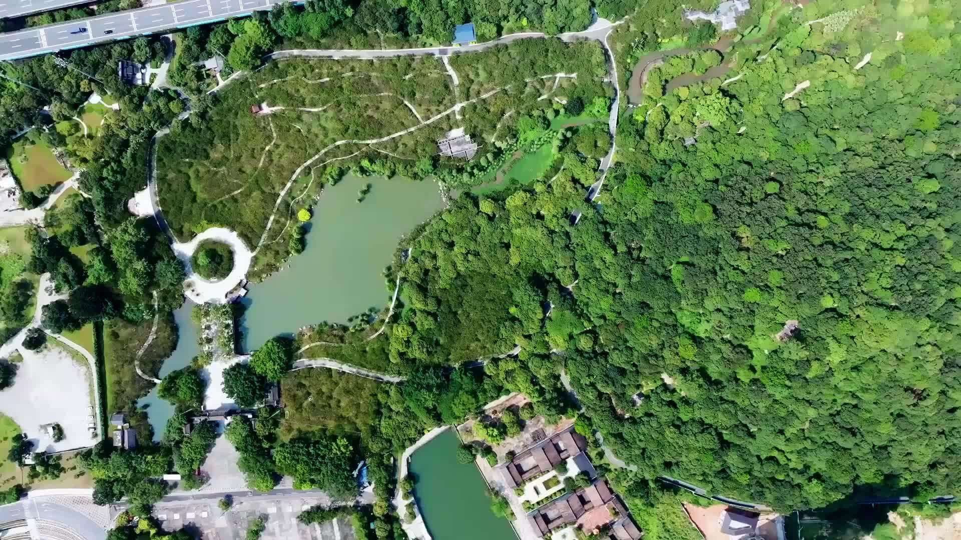  Nikmati pertemuan dengan ‘Salju Wangi’ yang terkenal dari Lingnan di Taman Xiangxue, Guangzhou