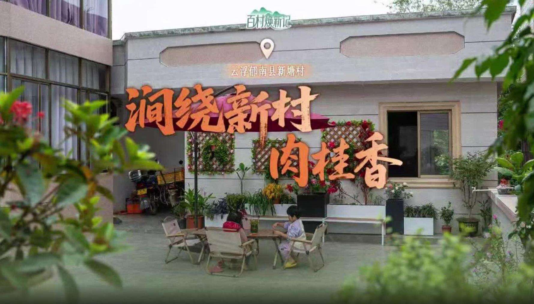 云浮郁南县新塘村：涧绕新村肉桂香 | 大美岭南·百村焕新记