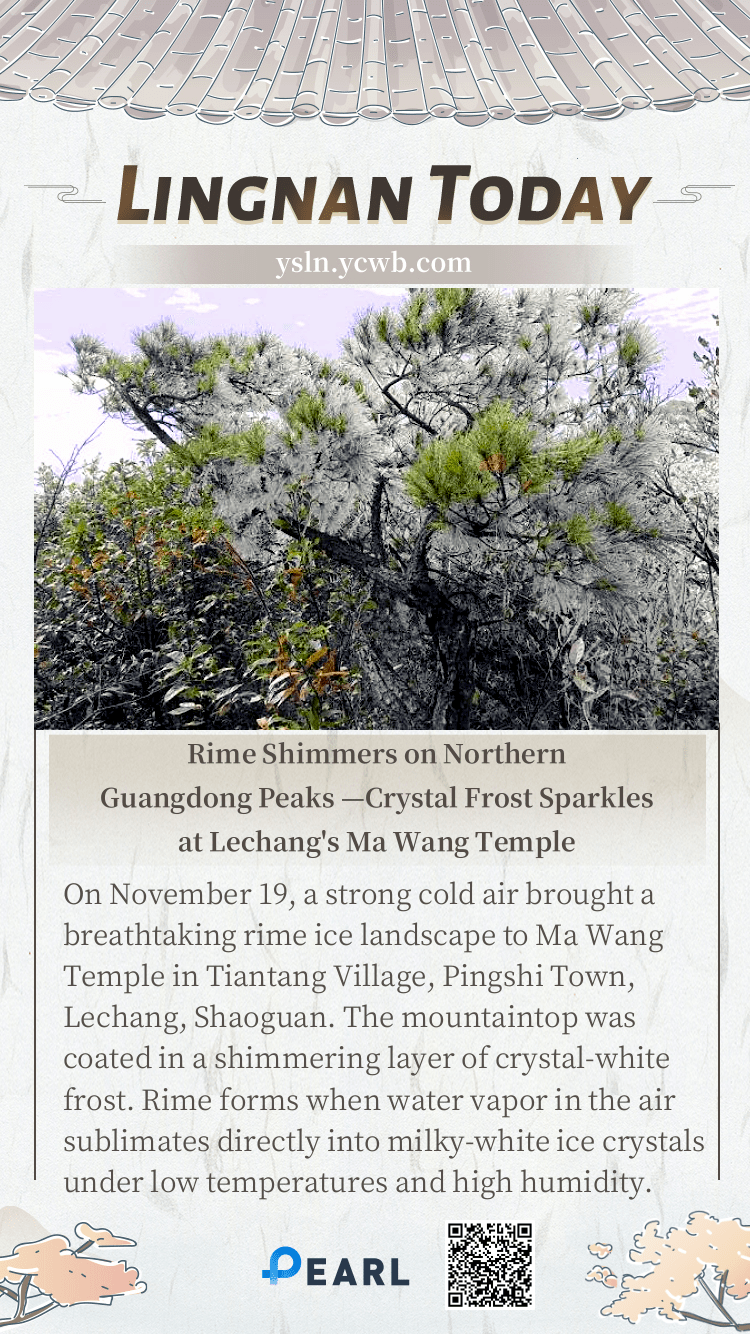  Poster | Rime Shimmers on Northern Guangdong Peaks — Crystal Frost Sparkles at Lechang's Ma Wang Temple