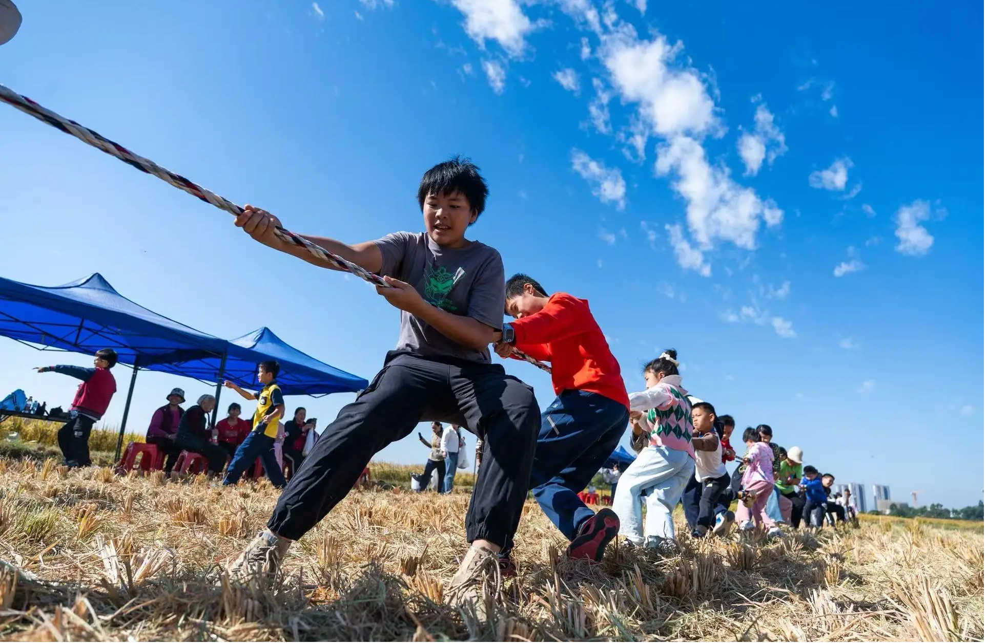  Poster丨Huicheng High-tech Zone, Huizhou: Turning Autumn Harvest into a Rural “Field Party”