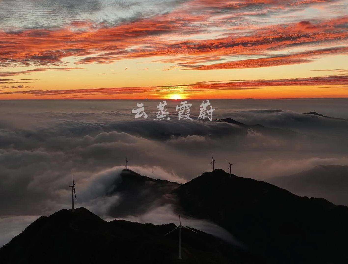  云蒸霞蔚，邂逅云端守望者｜岭南行记