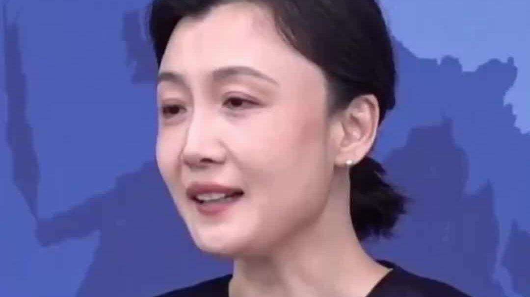 【视频】国台办：“一国两制”是一个和平、民主、善意、共赢的方案