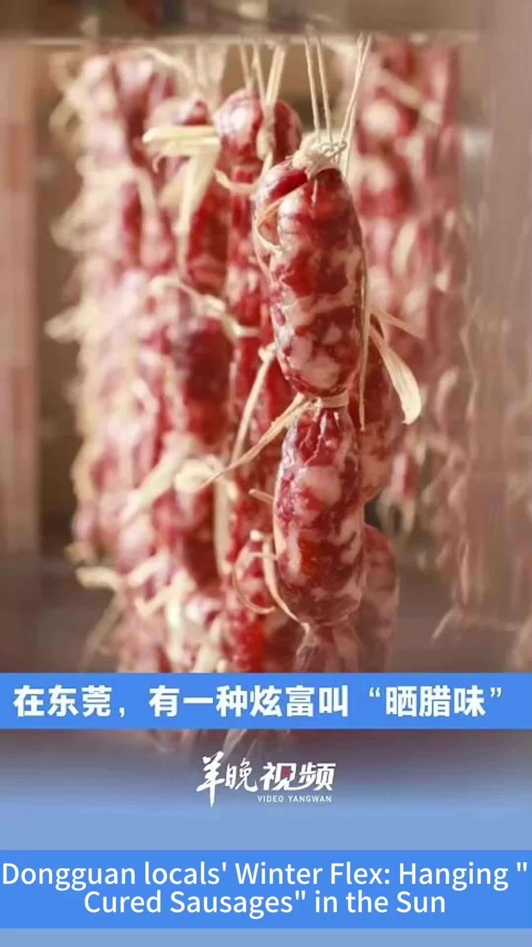 Dongguan locals' Winter Flex: Hanging 