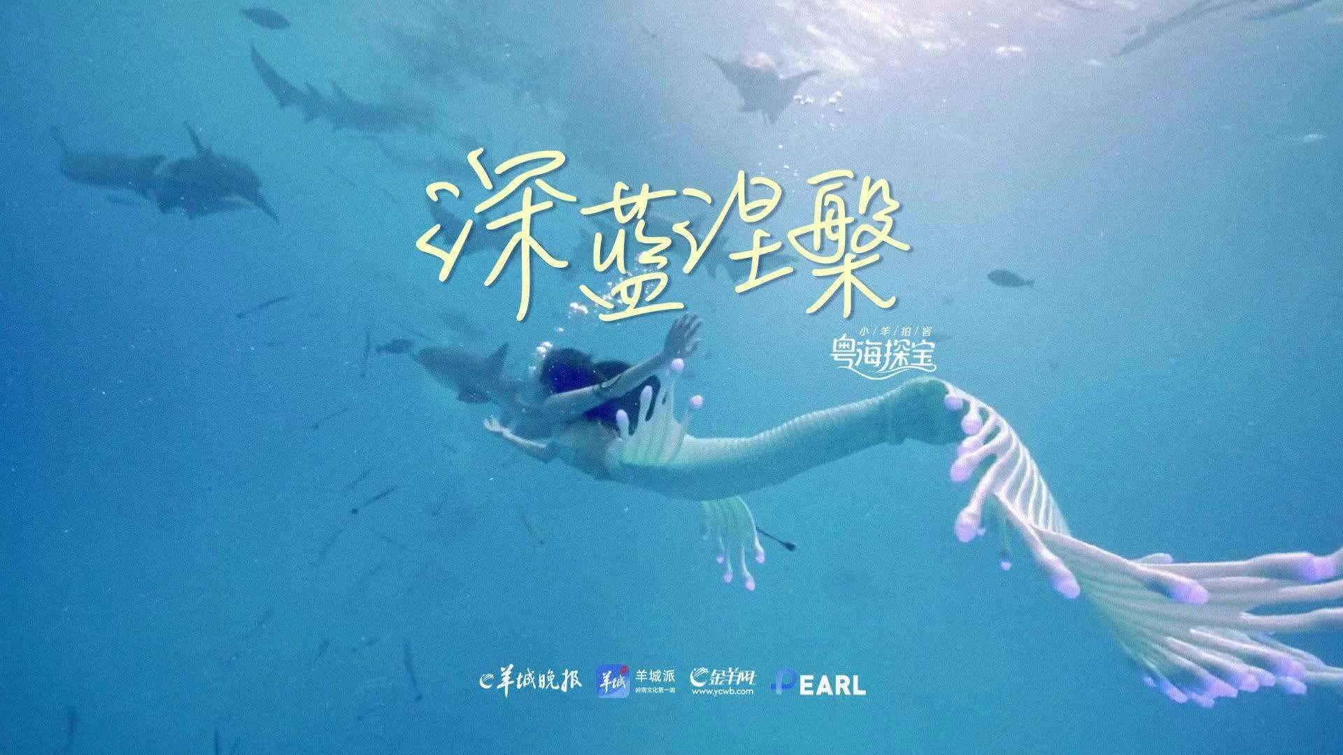 Deep Blue Rebirth: Perjalanan Seekor Putri Duyung