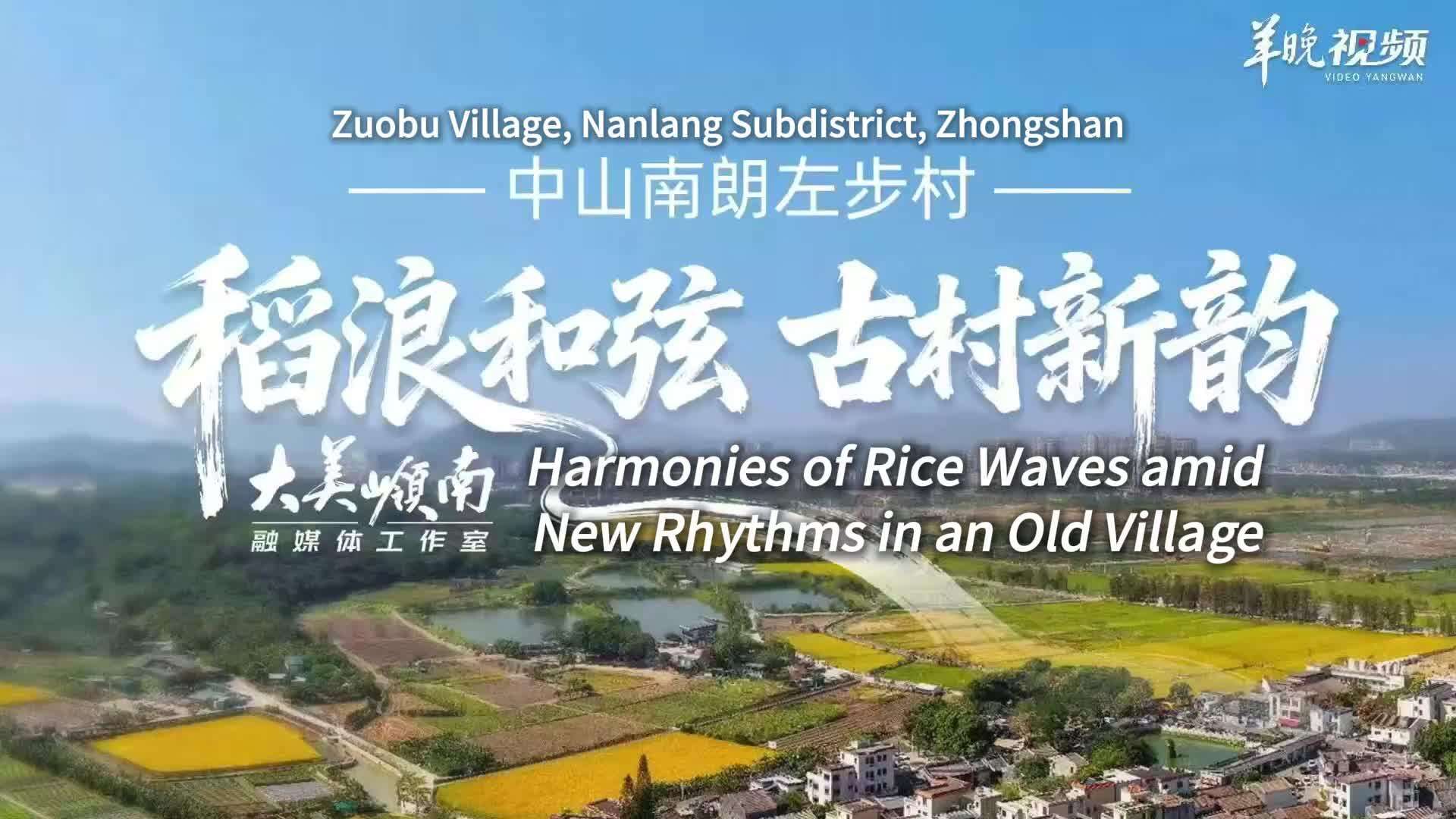  Lingnan: Beauty Beyond Borders | Zuobu Village, Nanlang Subdistrict, Zhongshan: Harmonies of Rice Waves amid New Rhythms in an Old Village
