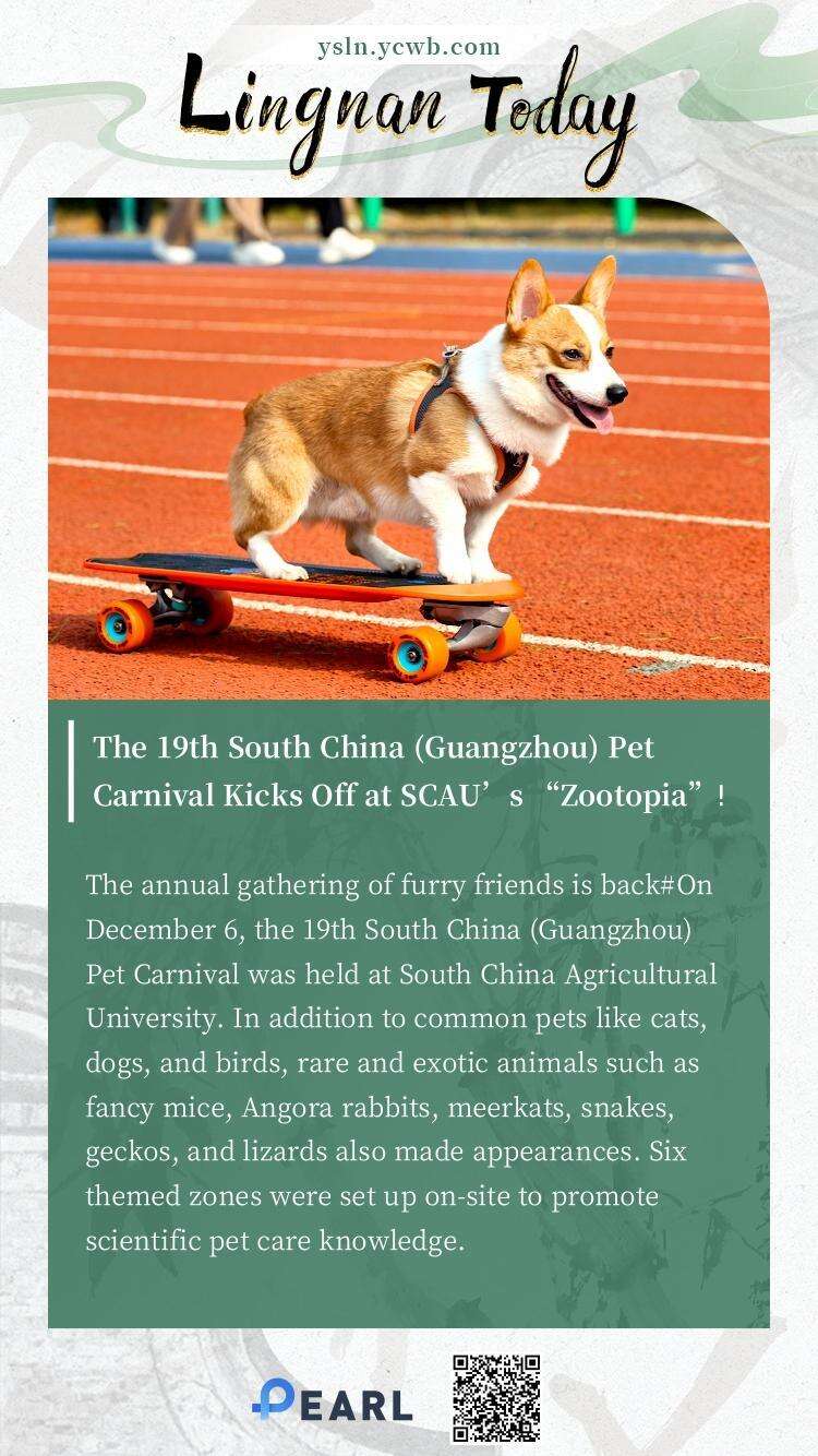  Poster丨The 19th South China (Guangzhou) Pet Carnival Kicks Off at SCAU’s “Zootopia”!