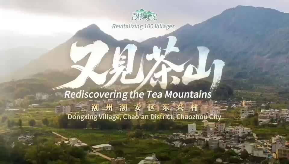  Dongxing Village, Chao’an District, Chaozhou: Rediscovering Tea Mountains |Lingnan: Beauty Beyond Borders “Revitalizing 100 Villages”