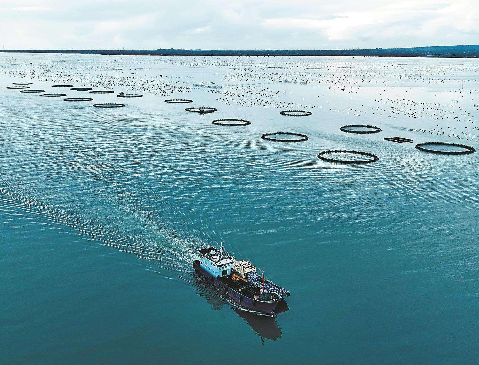  海洋渔业“六边形战士”出列 广东渔业何以拿下N个全国冠军？