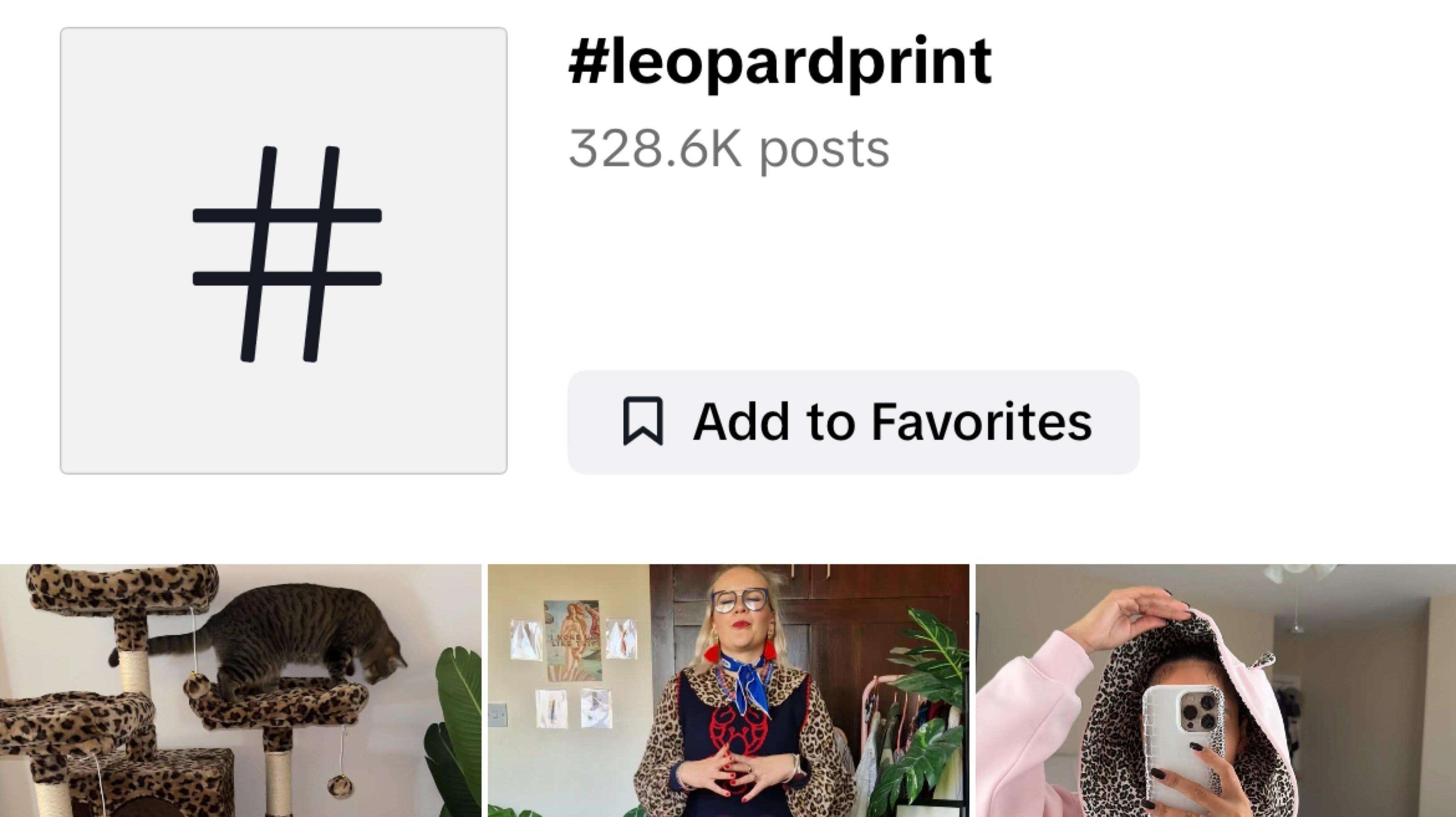  Young Guangdong entrepreneur turns niche leopard-print shoes into US footwear hit