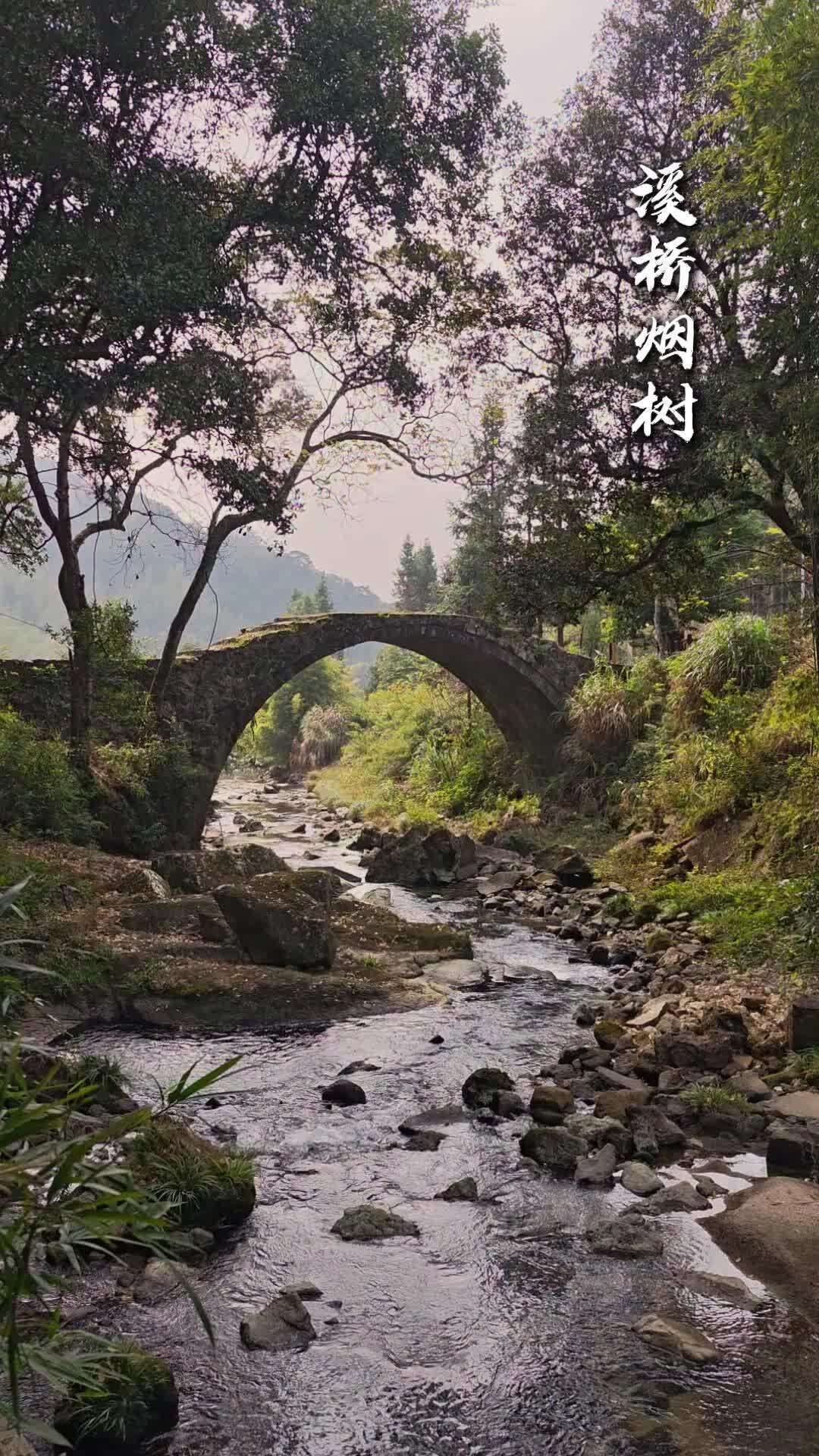  Misty Trees, Streamside Bridges: Discovering Shaoguan’s Hidden Gem | Lingnan Travelogue