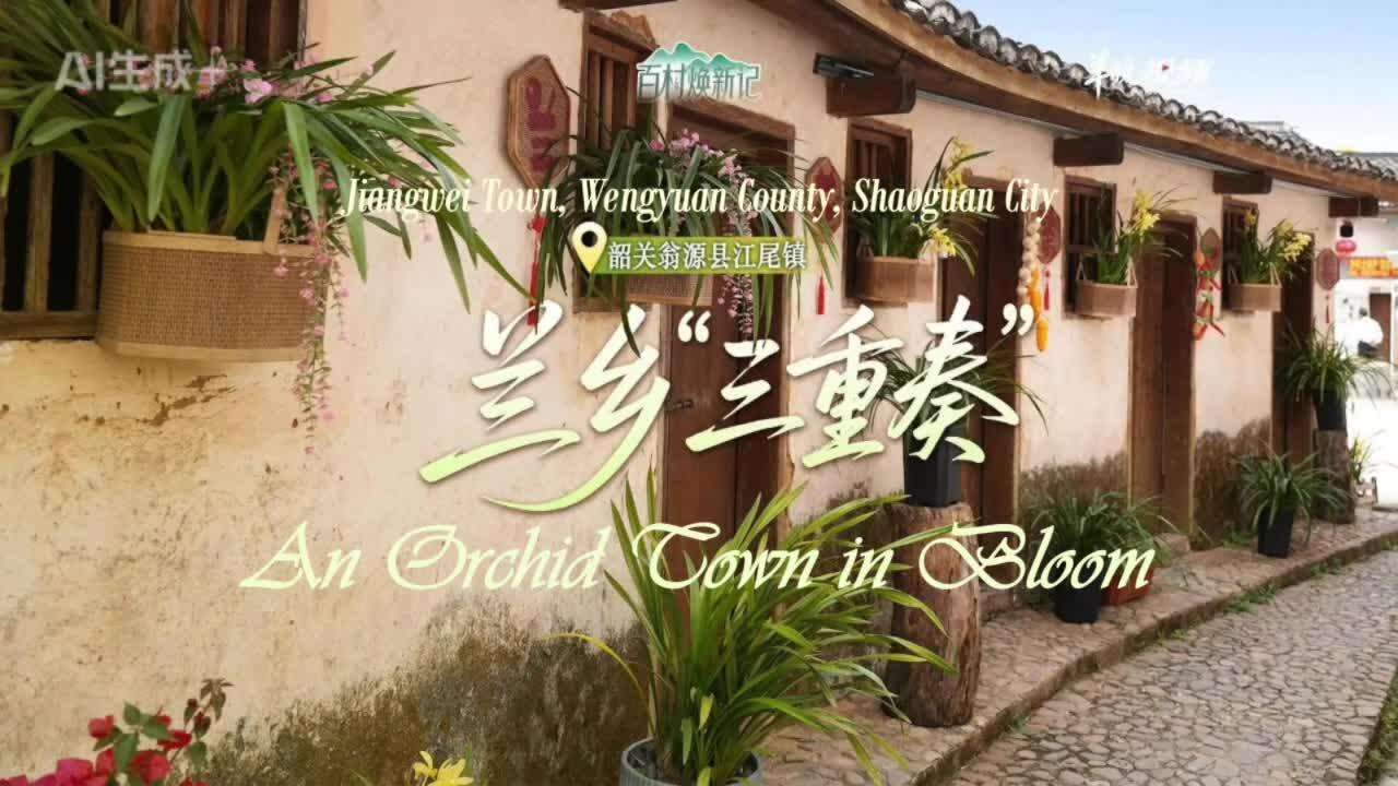  Jiangwei Town, Wengyuan County, Shaoguan City: An Orchid Town in Bloom | Beauty in Harmony: “Revitalizing 100 Villages”