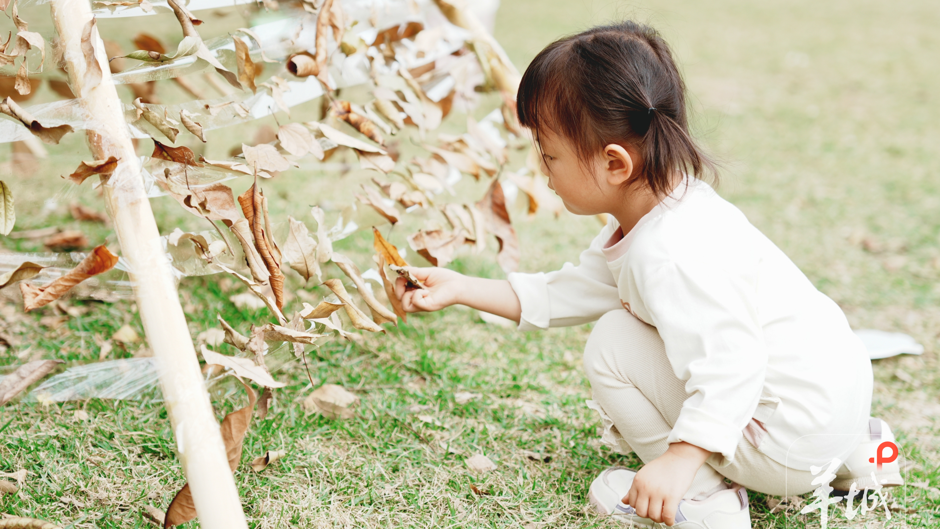 2025 Guangdong-Hong Kong-Macao Nature Education Forum kicks off